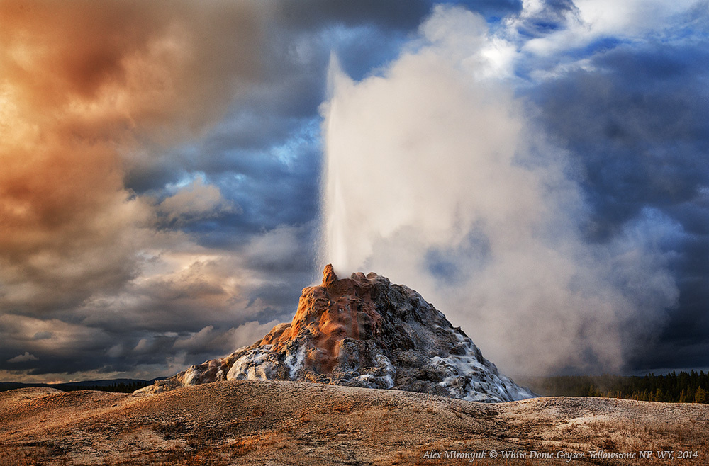 Photo - Workshop “Unforgettable North-West”. Pet, Senior, Landscape, portrait studio, photographer in Miami and Sou