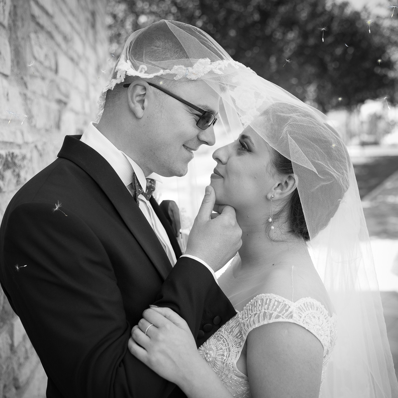 AlexEvents Fotograf / Videograf de evenimente Danemarca DK Horsens, Arhus, Odense, Vejle.Nunta, botez, foto-studio