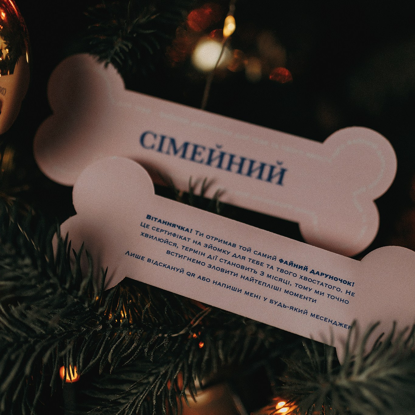 Подарунковий бокс. Фотограф-анімаліст Київ