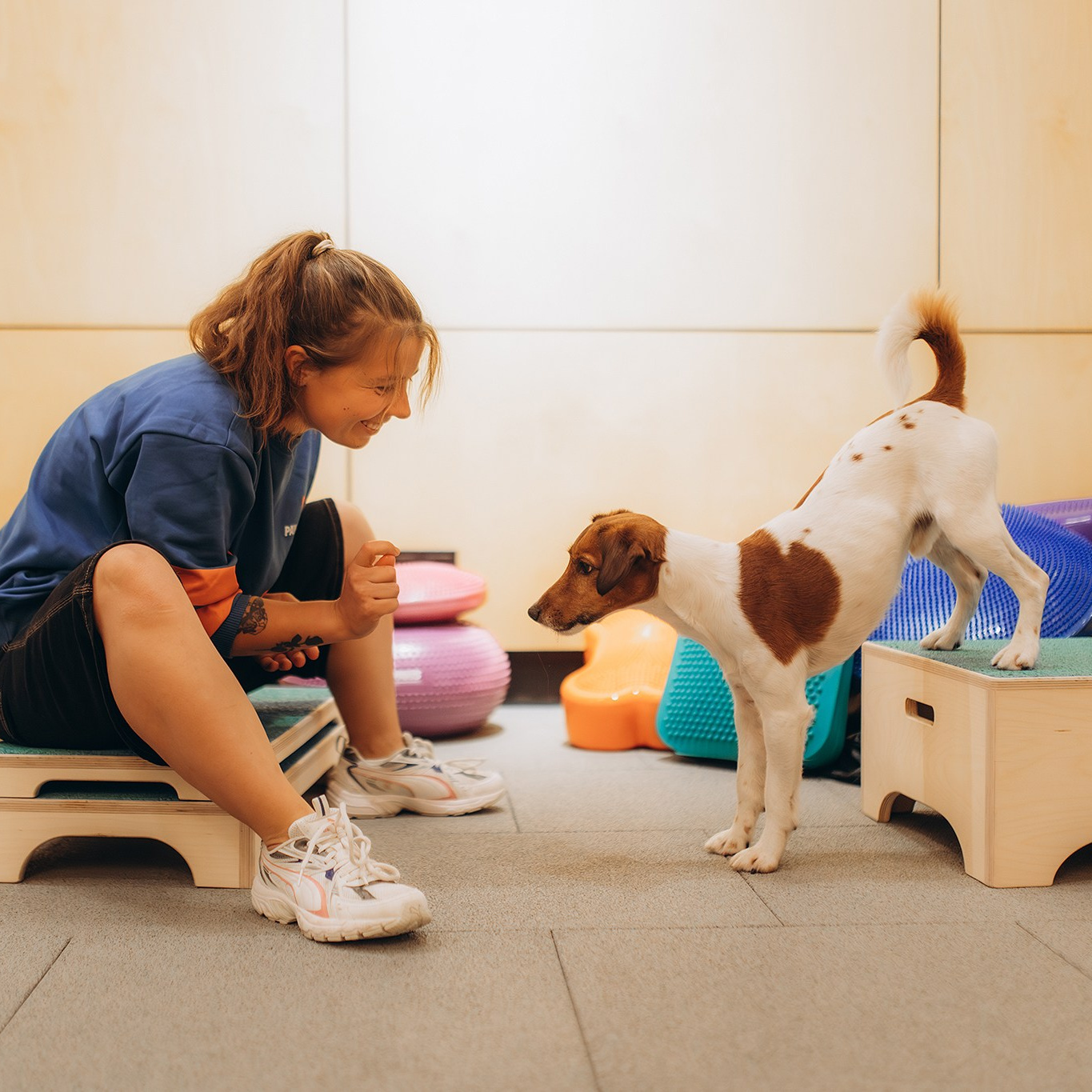 Подарунки. Фотограф-анімаліст Київ