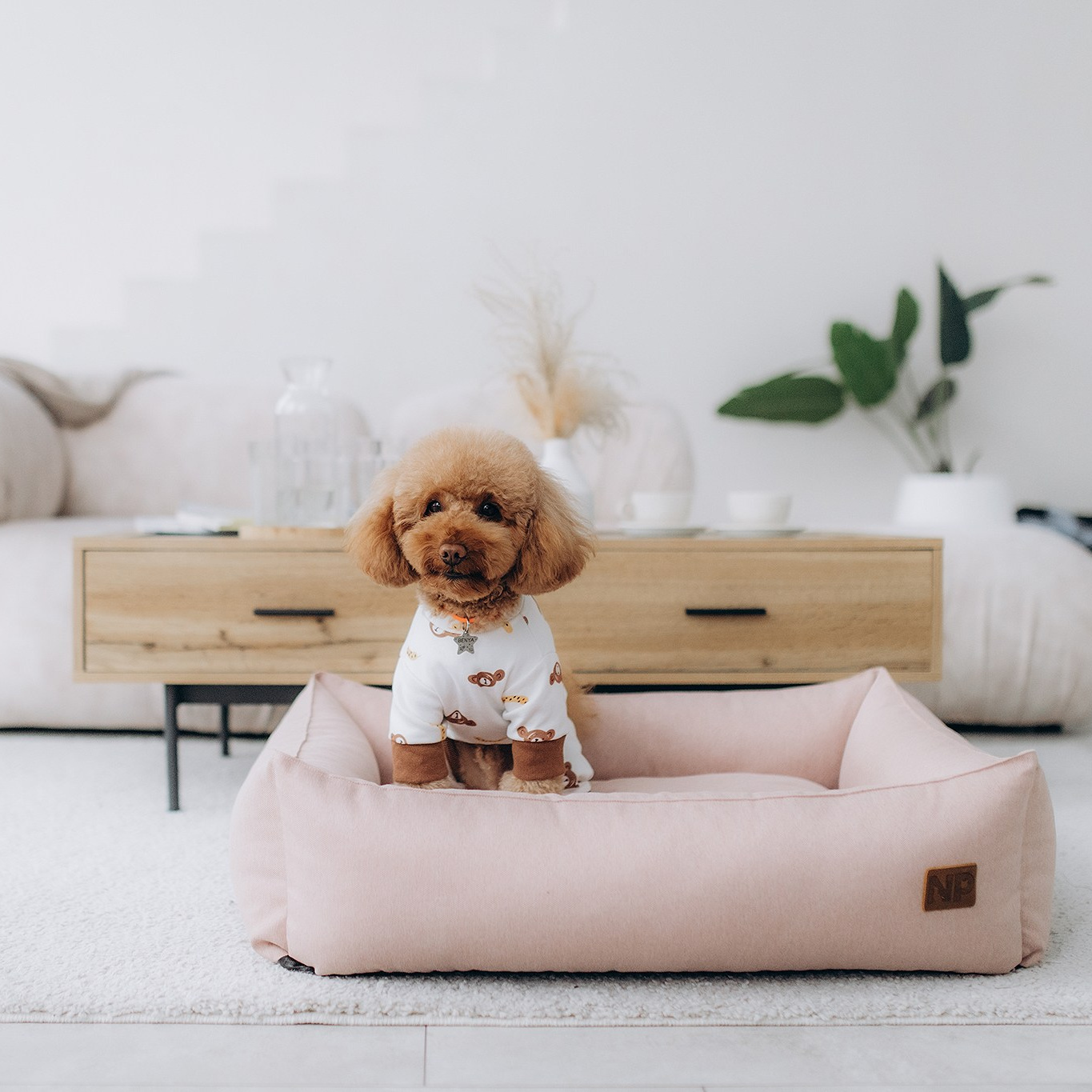 Подарунки. Фотограф-анімаліст Київ