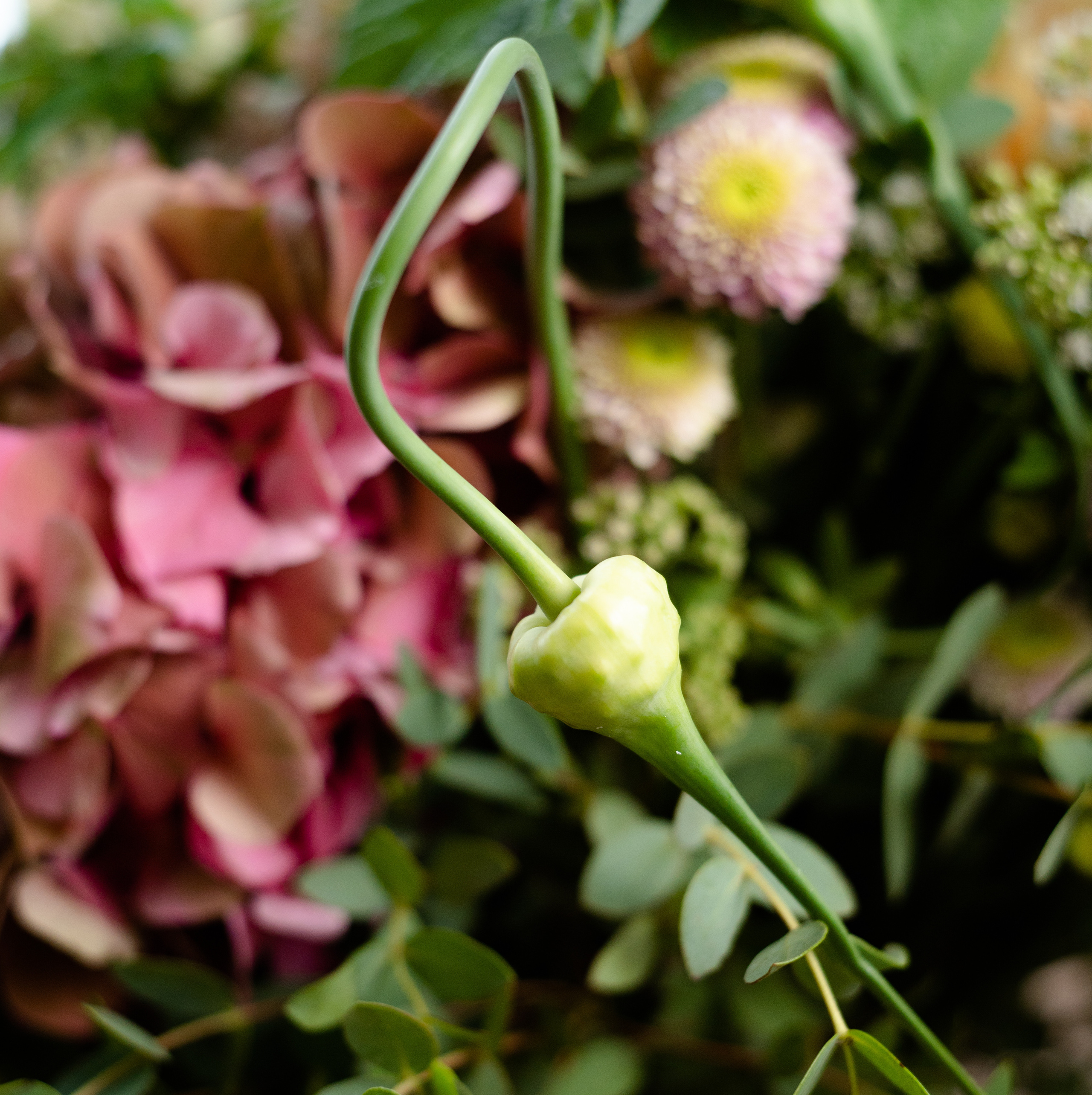 Produktna. Фотограф и видеограф Мария Бортякова из Словении: событийная, портретная и видеосъемка по всей Словении