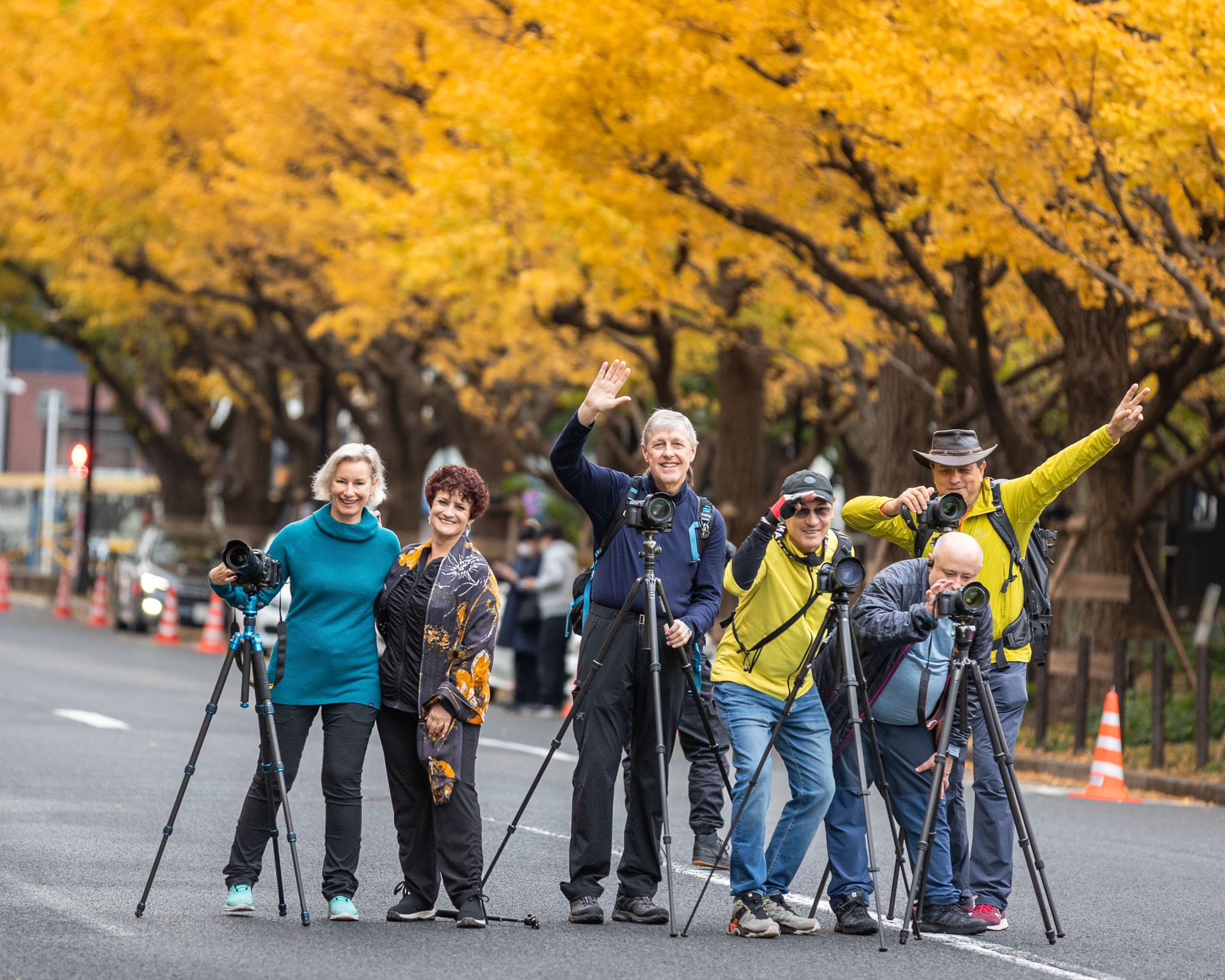 Autumn Colors of Japan. Pet, Senior, Landscape, portrait studio, photographer in Miami and Sou