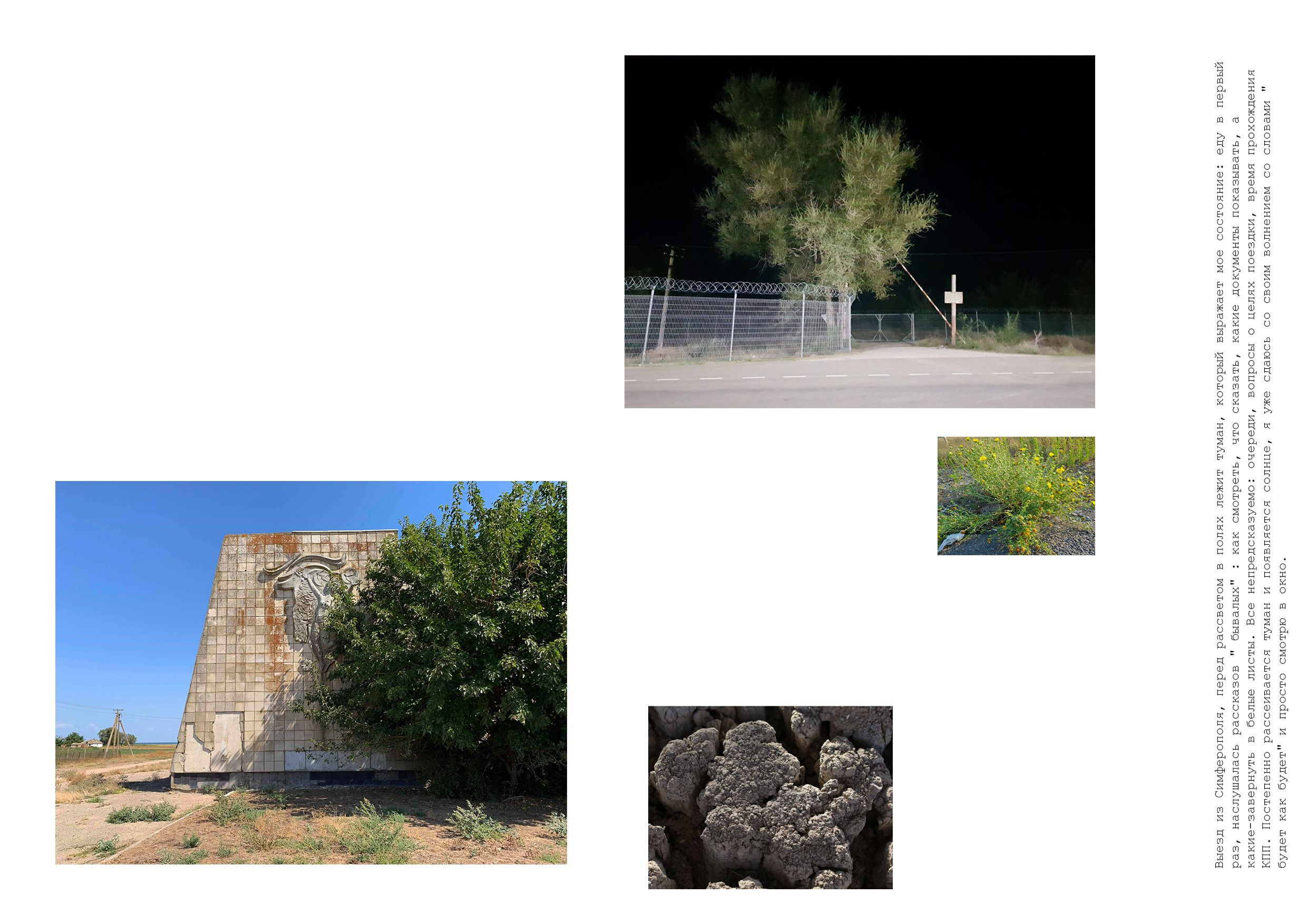 Books. Документальный фотограф, междисциплинарный художник