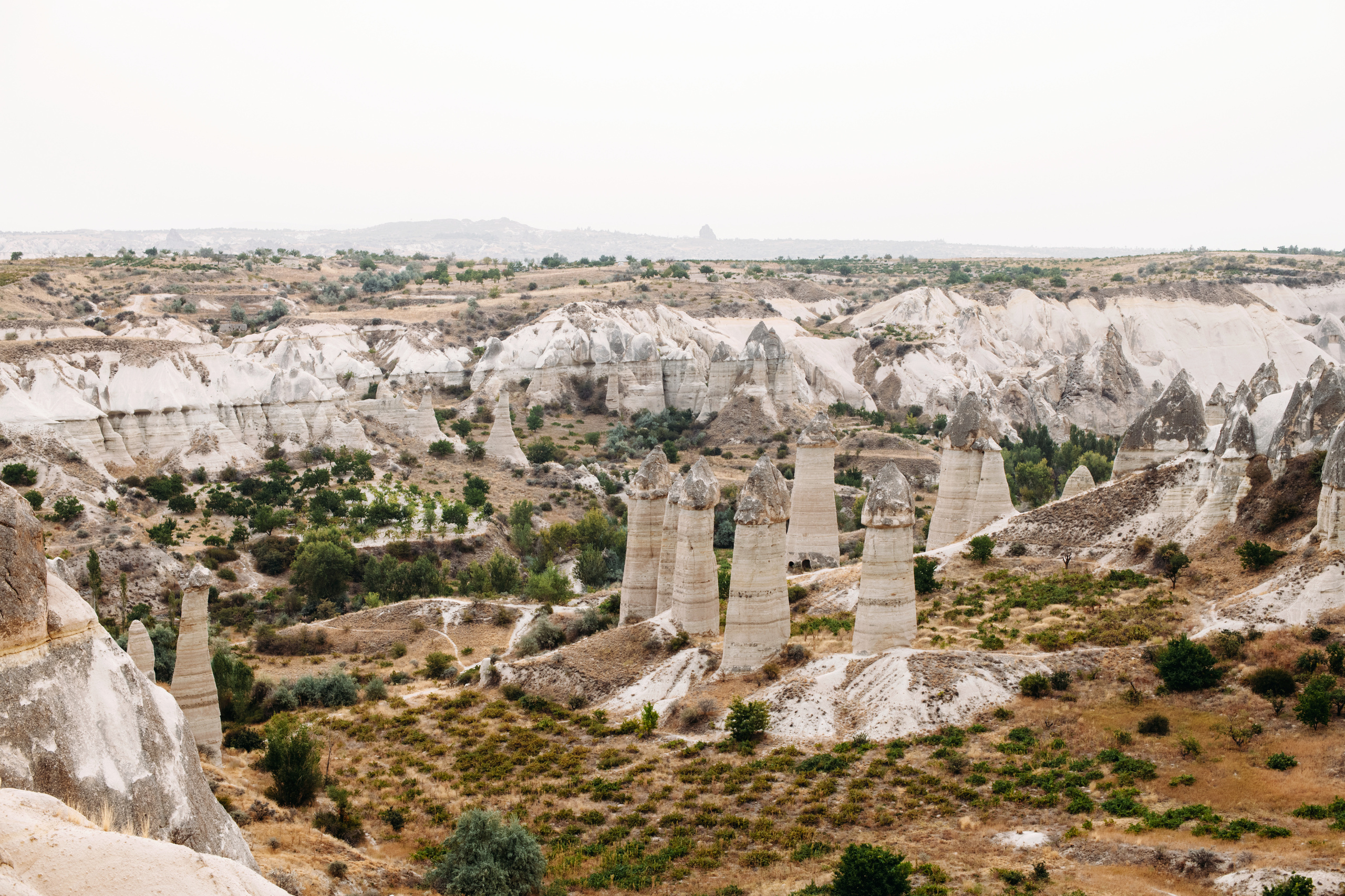 Wedding family photographer Alicante Benidorm Valencia Costa Blanca