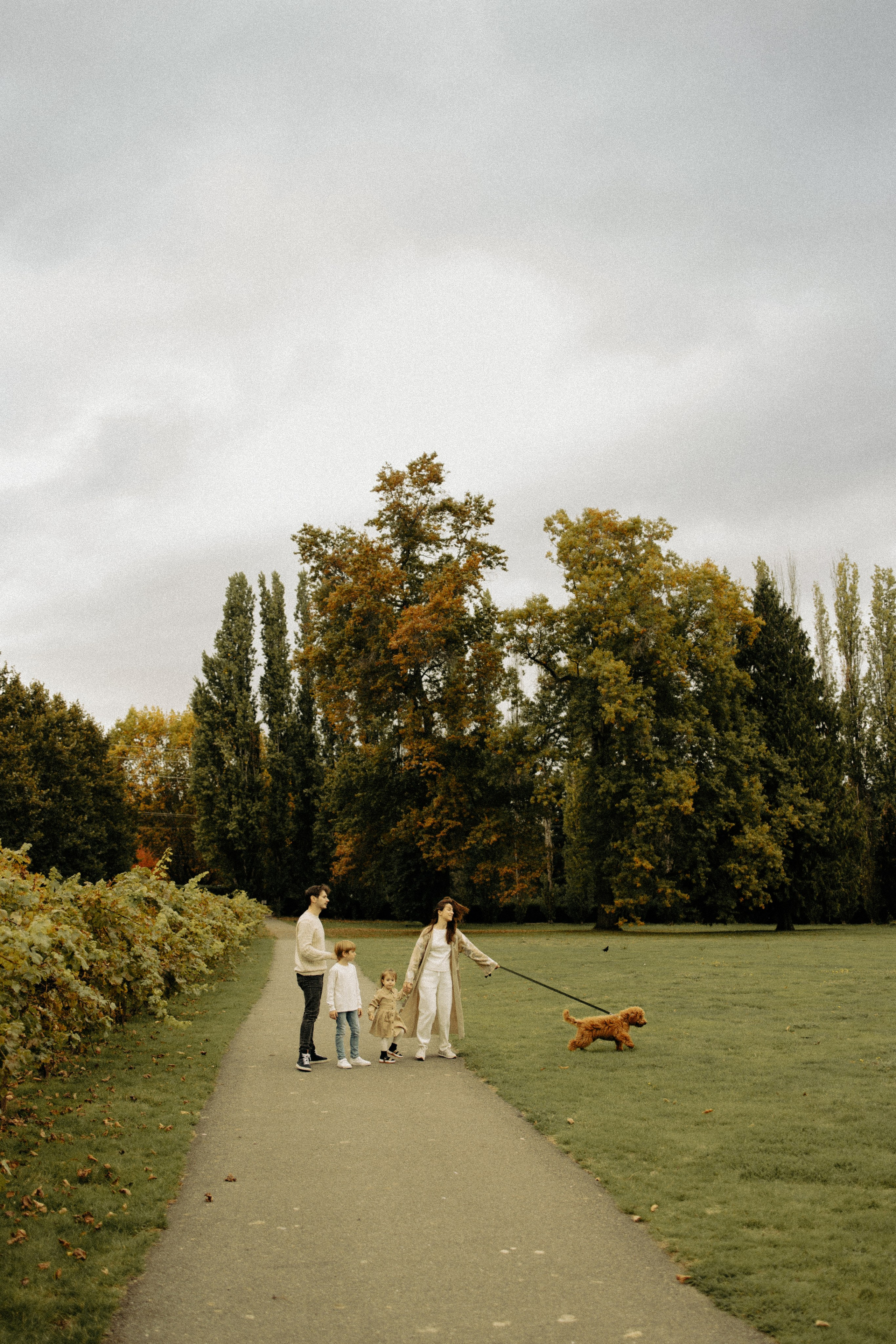 Professional photographer in Minnesota, Alina Volkova