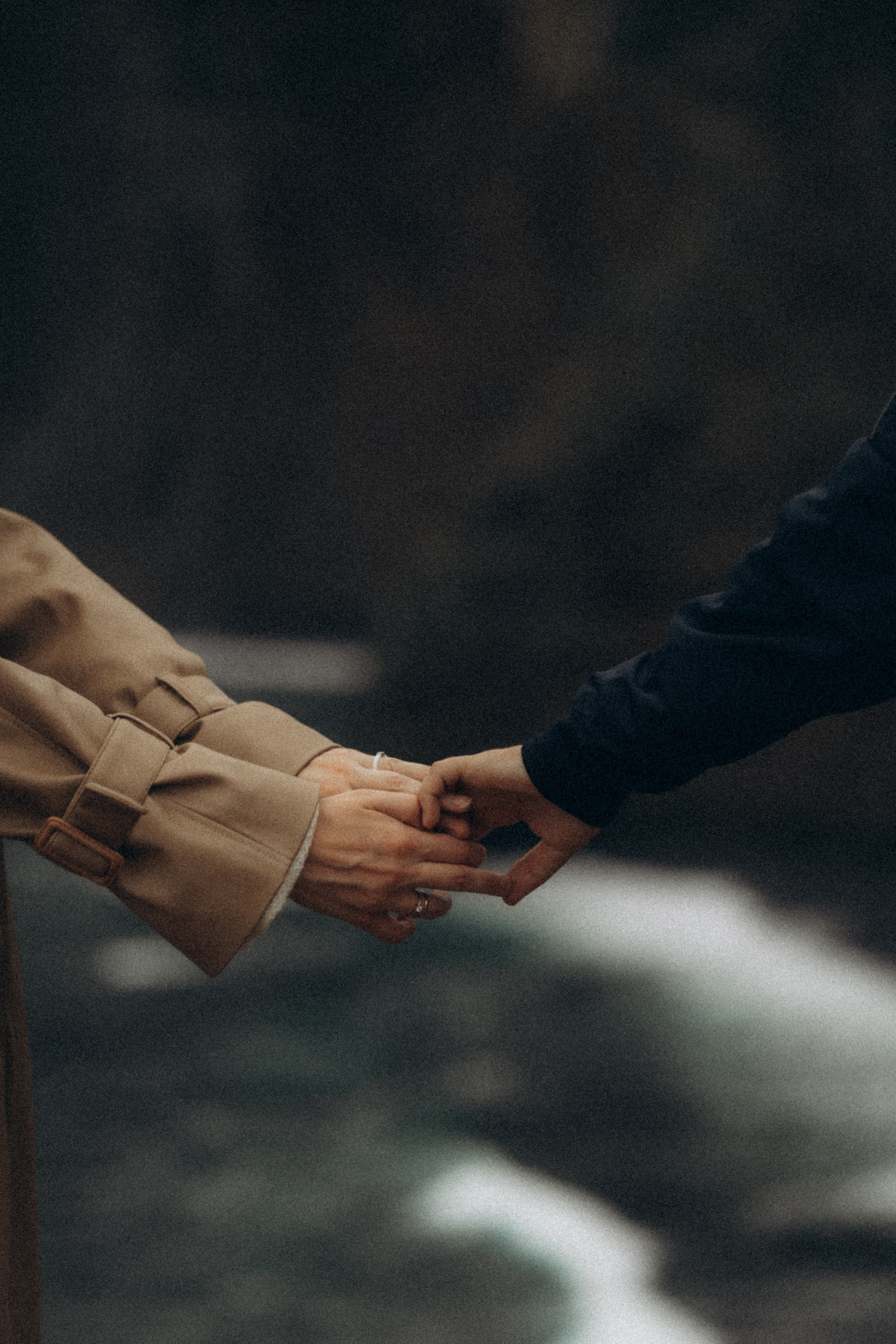 Intimate engagement session in Madeira gardens