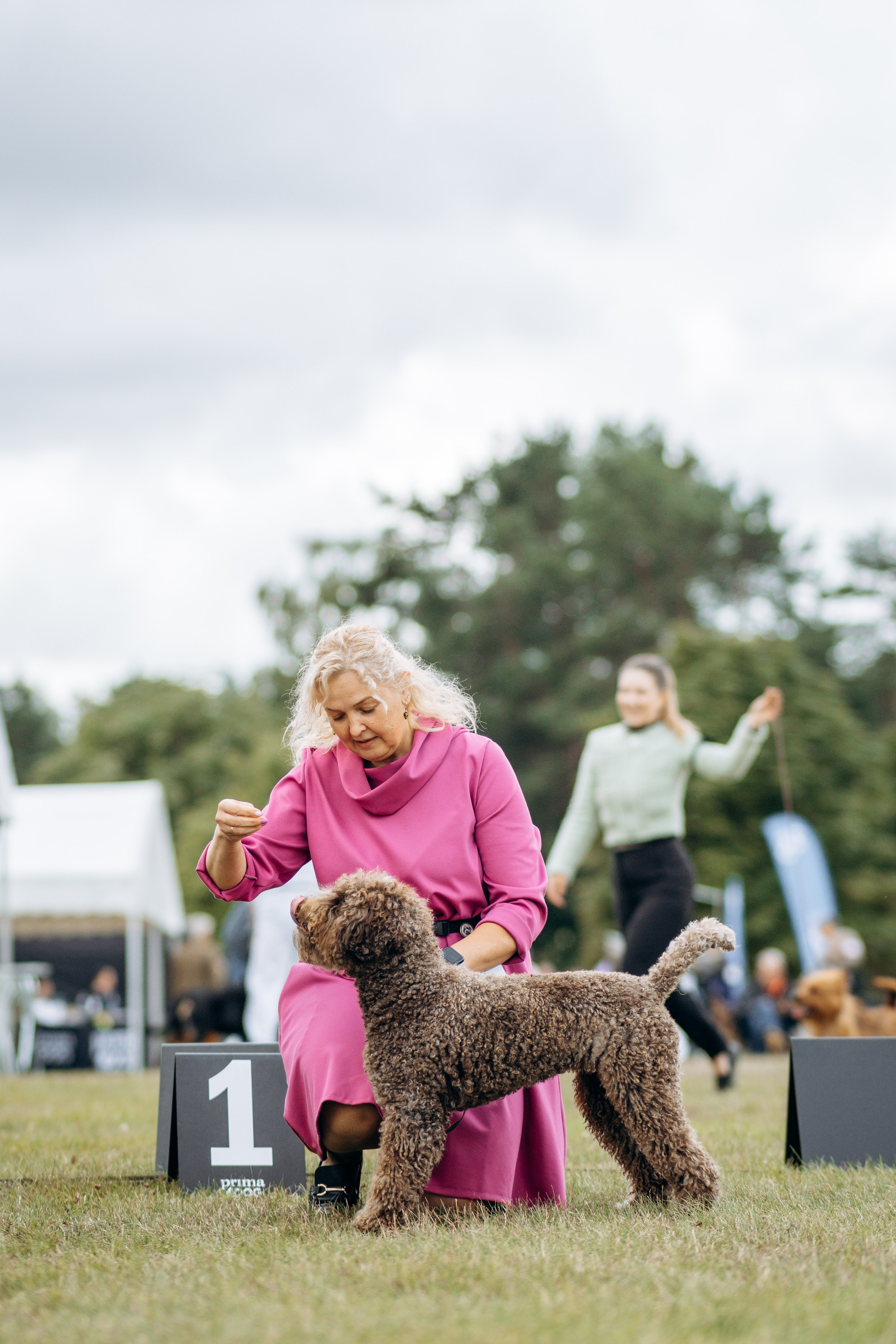 Dog show photography. Kat Laisaar — Pet photographer in Tallinn