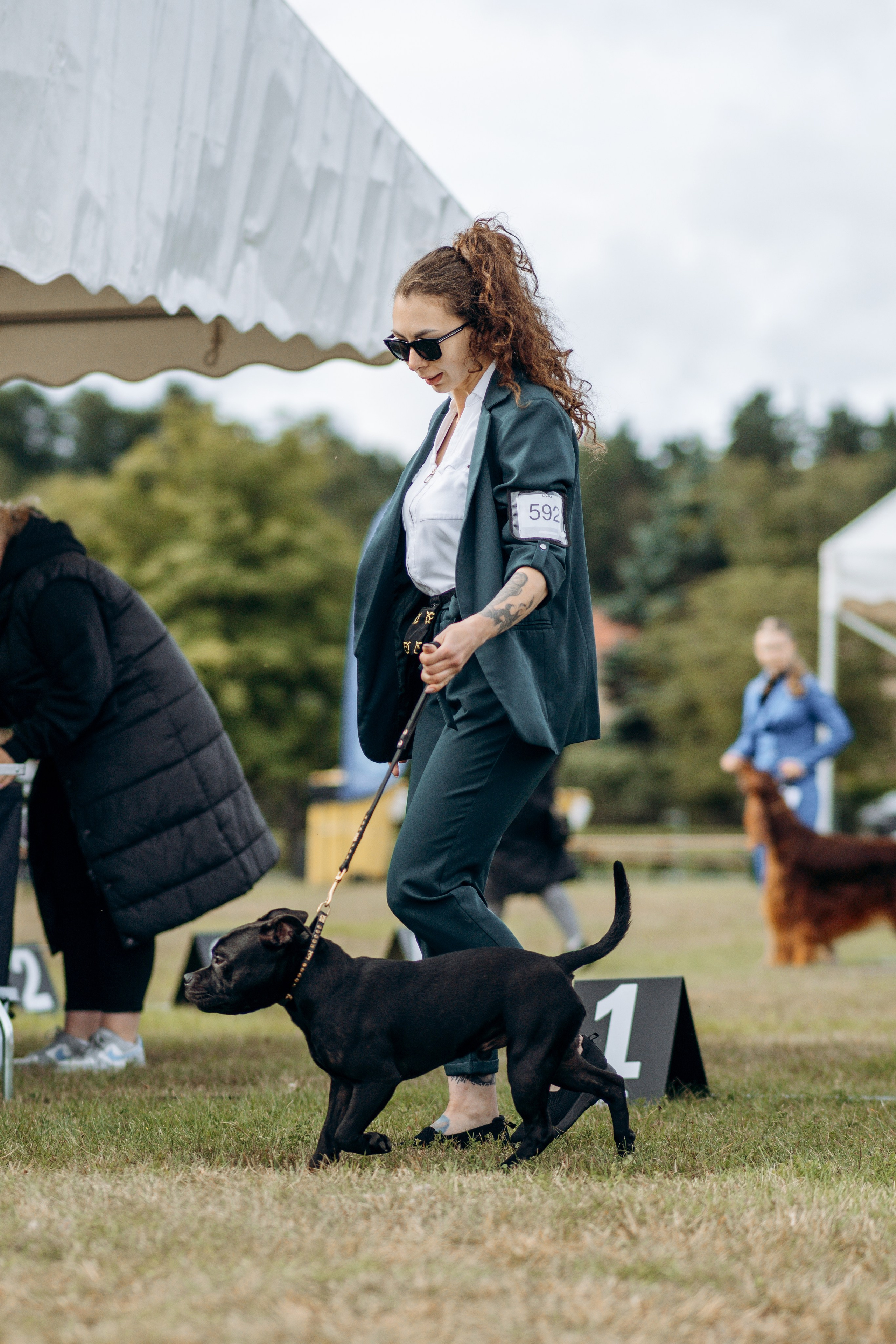 Dog show photography. Kat Laisaar — Pet photographer in Tallinn