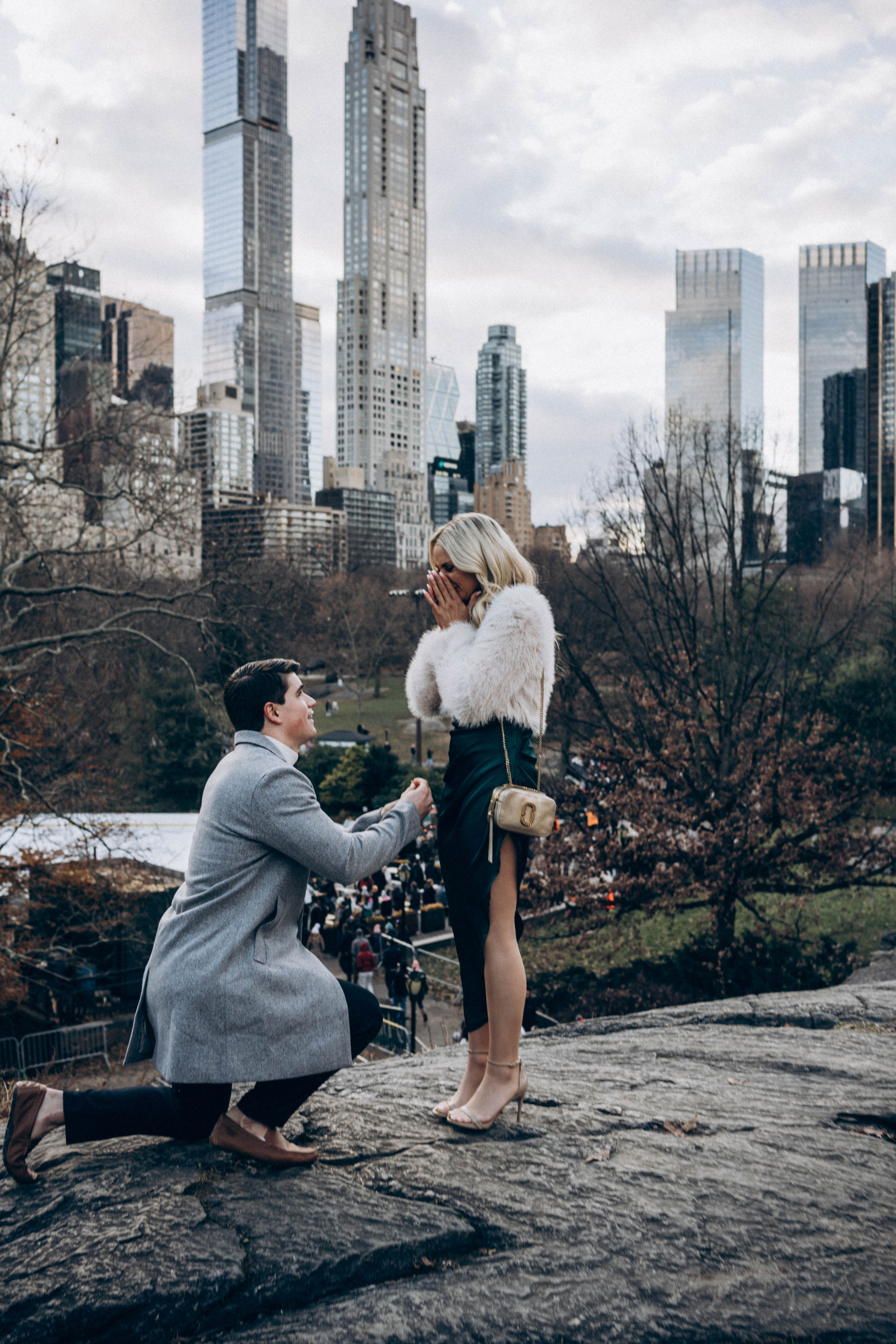 surprise proposal in the Iconic places in New York