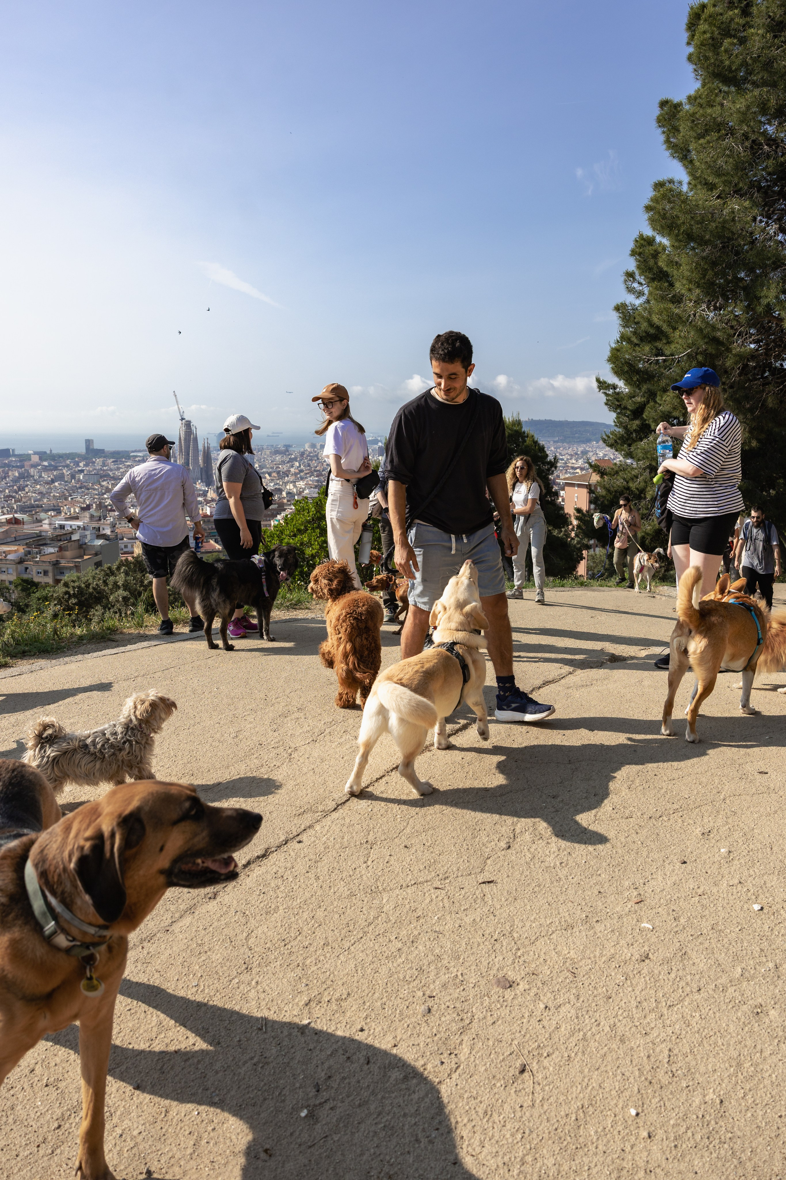 Brand Photos. People & pet photographer based in Barcelona