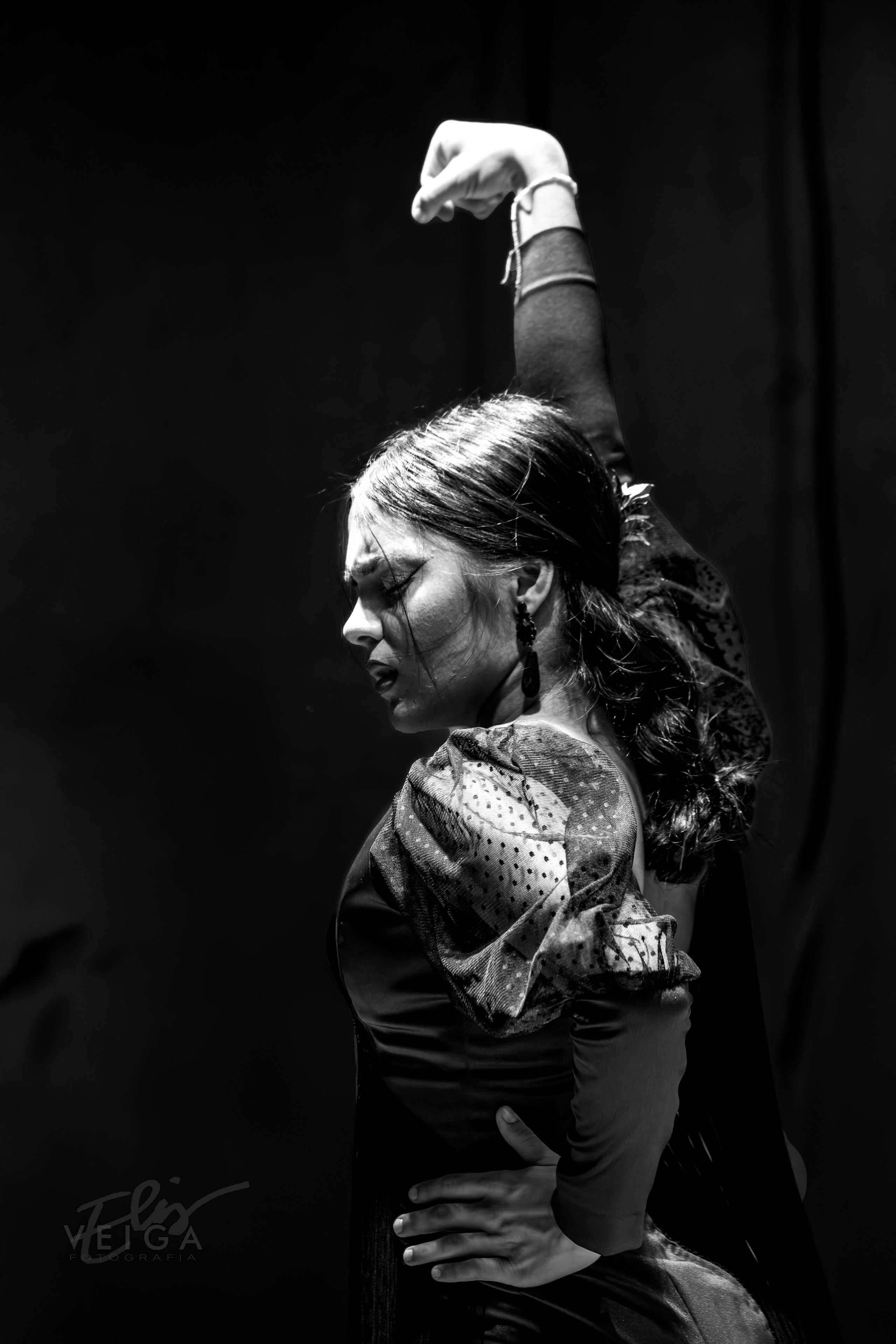 Espectáculos. Elisveiga