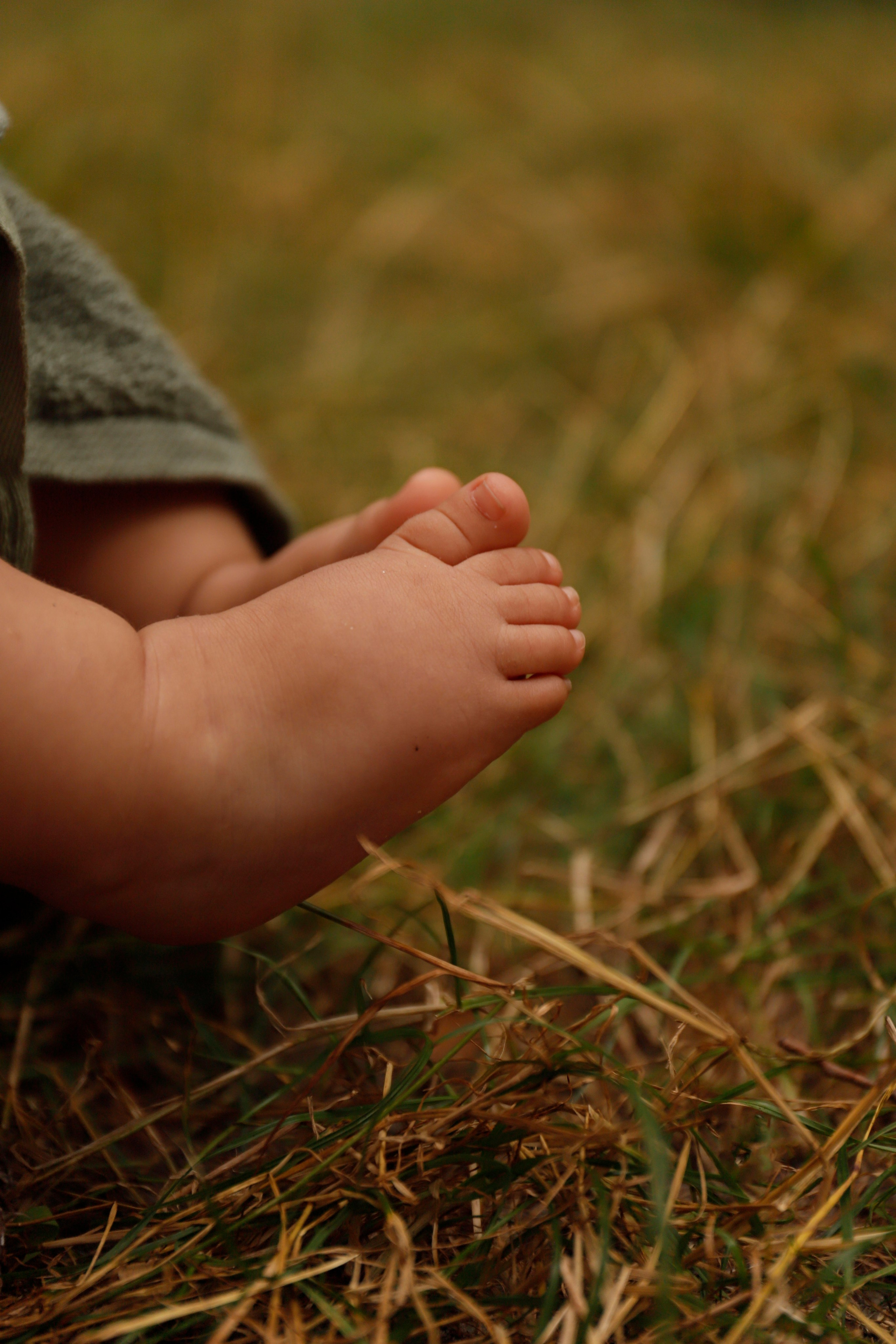 услуги семейного фотографа, услуги детского  фотографа, фотограф Киев, фотограф осокорки, фотограф дарницкого района, семейный фотограф, детский фотограф, детский репортаж, фотограф Киев, фотограф позняки, фотограф патриотика, фотограф детская комната, фотограф детского банкета, фотограф Логвинова Елена, photoelenlogvinova,  photo elena logvinova, фотограф осокорки, фотограф Патриотика