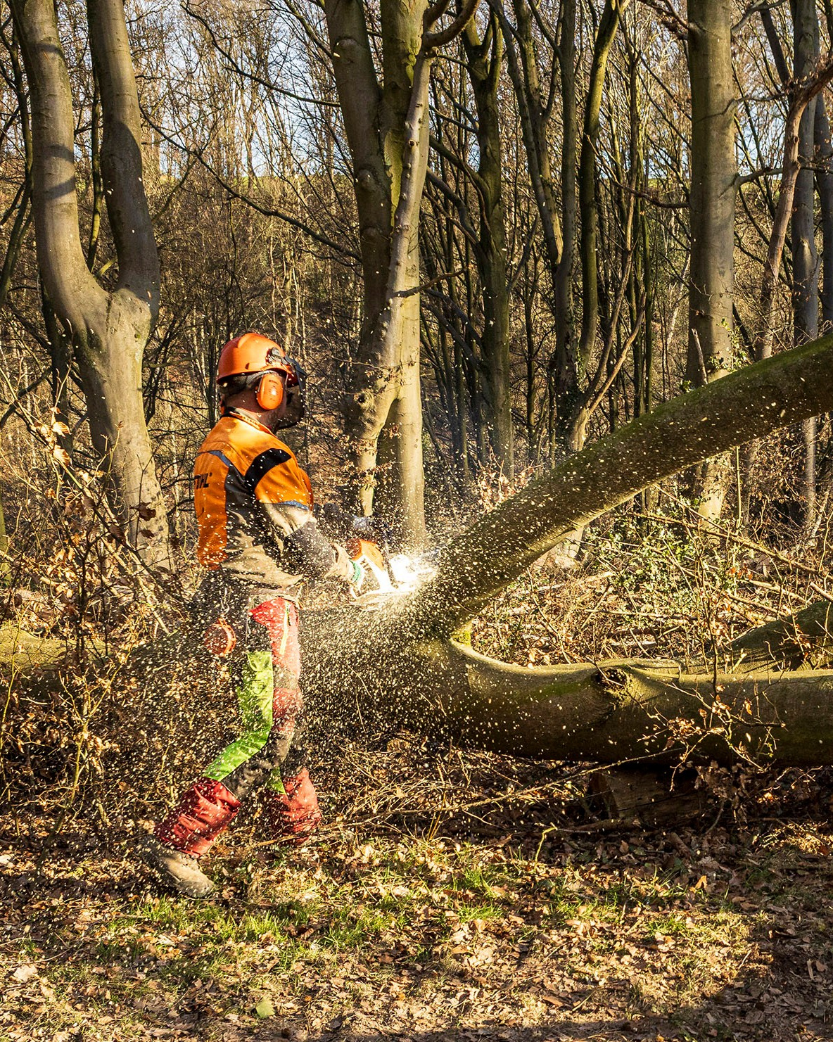 Fotografie – Solingen & Bergisches Land