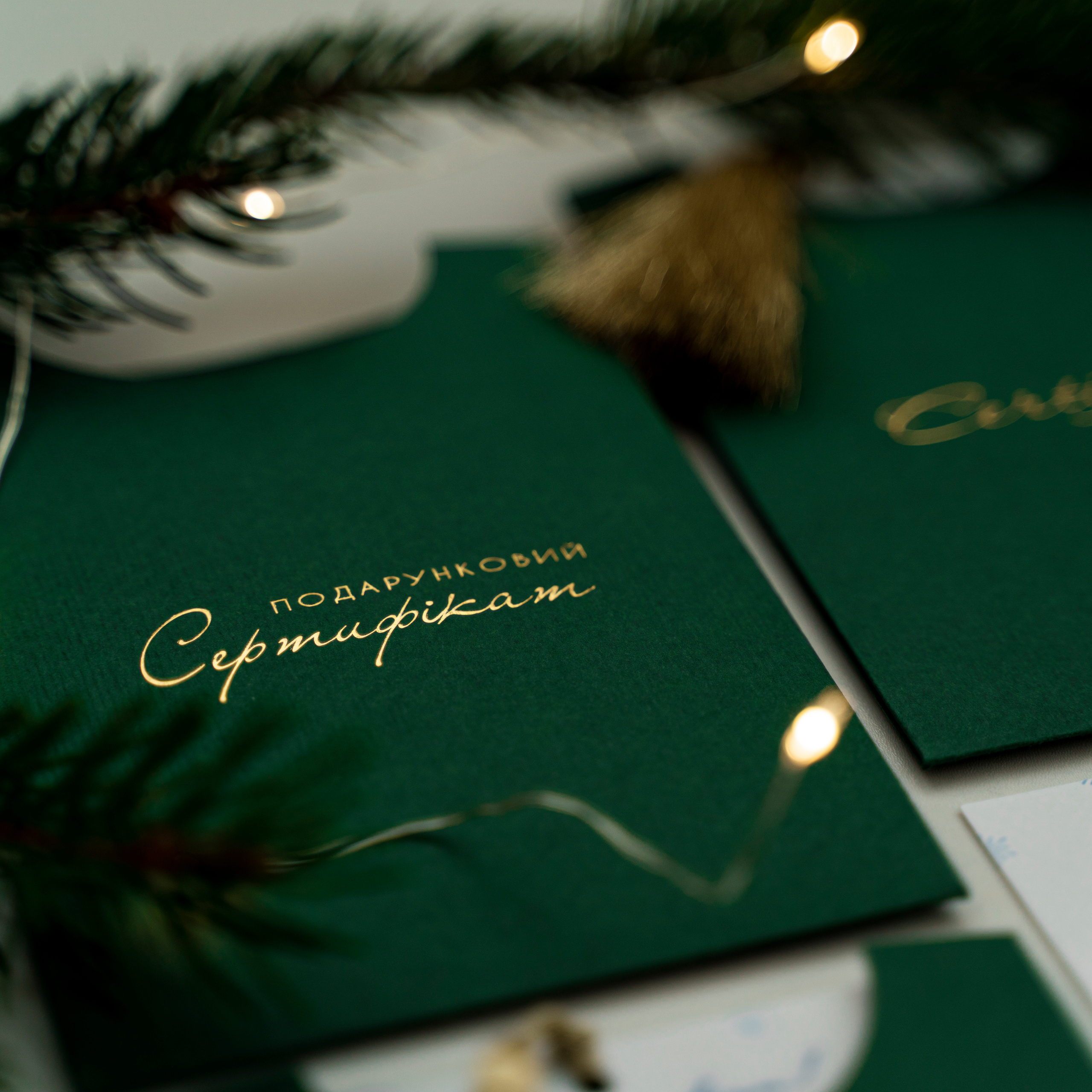 Сертифікат на фотосесію. Family photographer in Kiev Natalia Shkavron