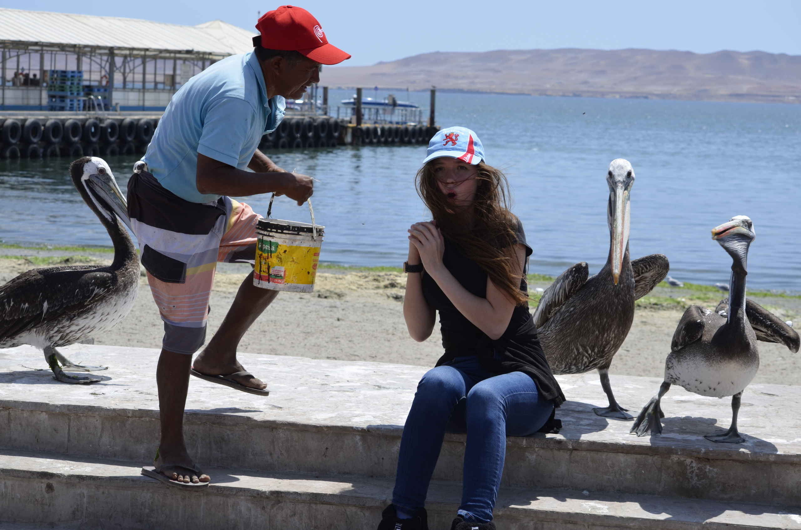 Peru. Milok et Kirok sont des gens positifs et réels. Nous serons ravis de v