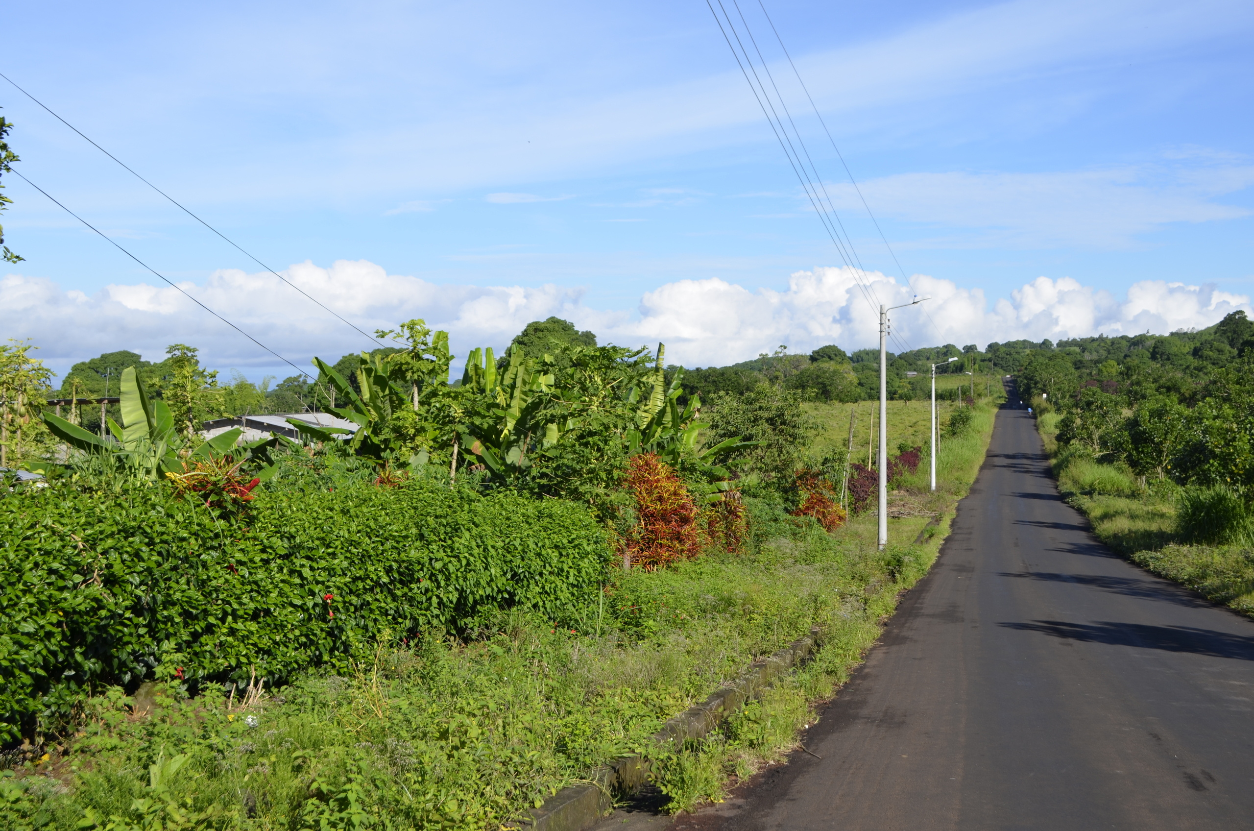 Galapagos. Milok et Kirok sont des gens positifs et réels. Nous serons ravis de v