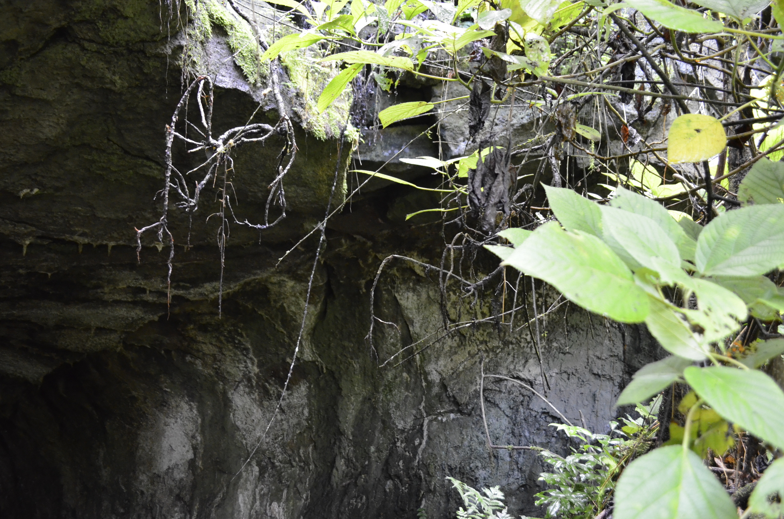 Galapagos. Milok et Kirok sont des gens positifs et réels. Nous serons ravis de v