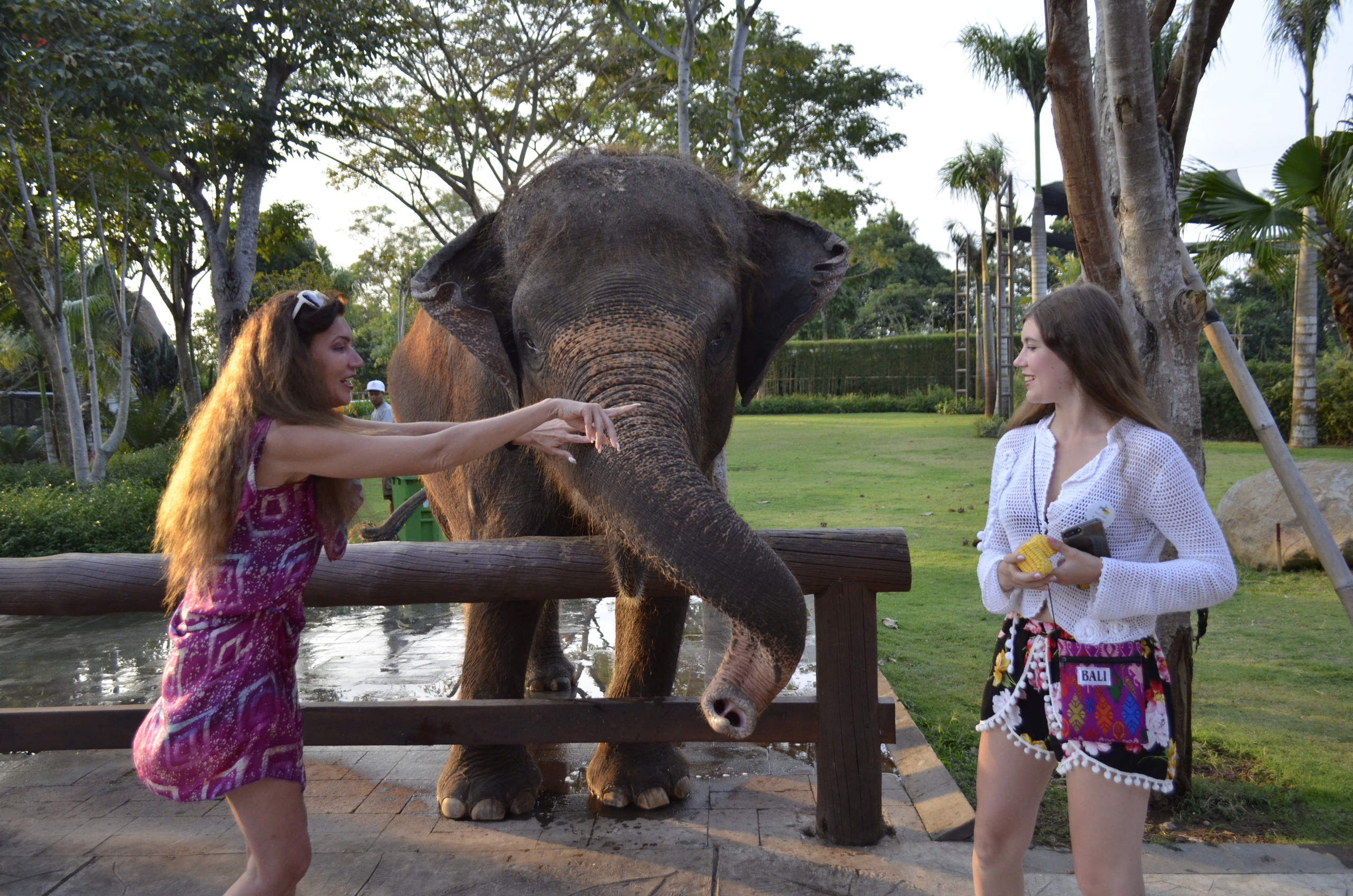 Mannequins, design, decoration, handmade, photographe…