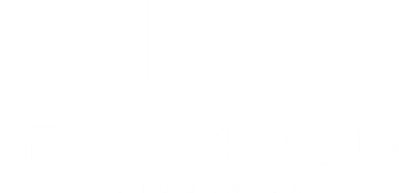 leticiagracino.wfolio.pro