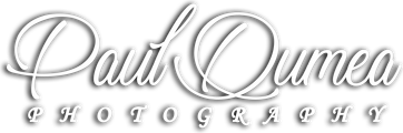 paulodumea.wfolio.pro