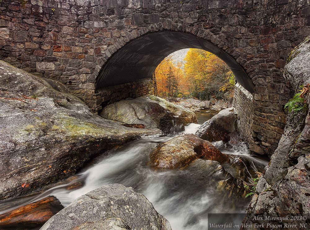 Fall at Great Smoky Mountains. Pet, Senior, Landscape, portrait studio, photographer in Miami and Sou