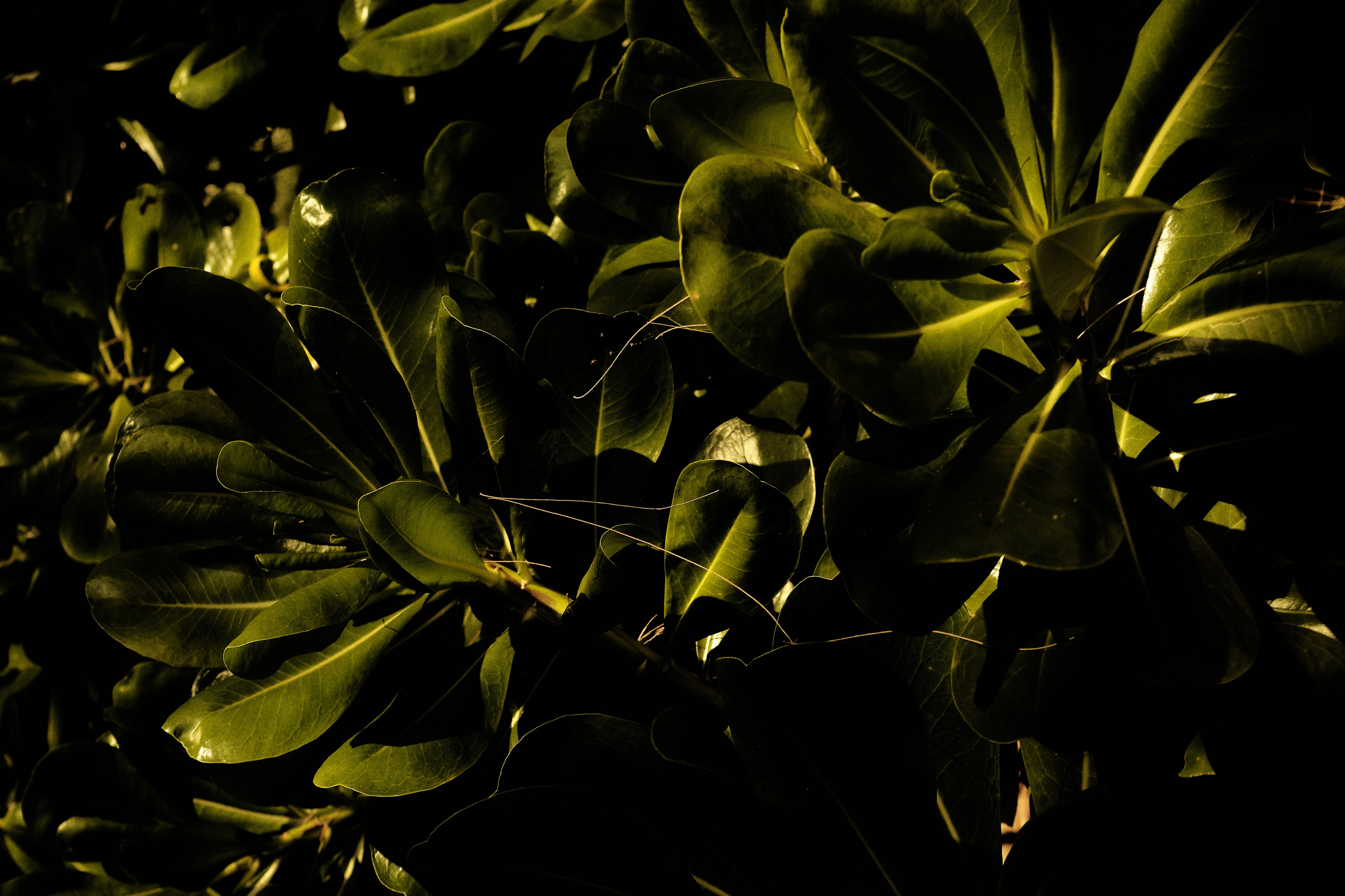 Echolith. Nature art photography by Petr Nabutov