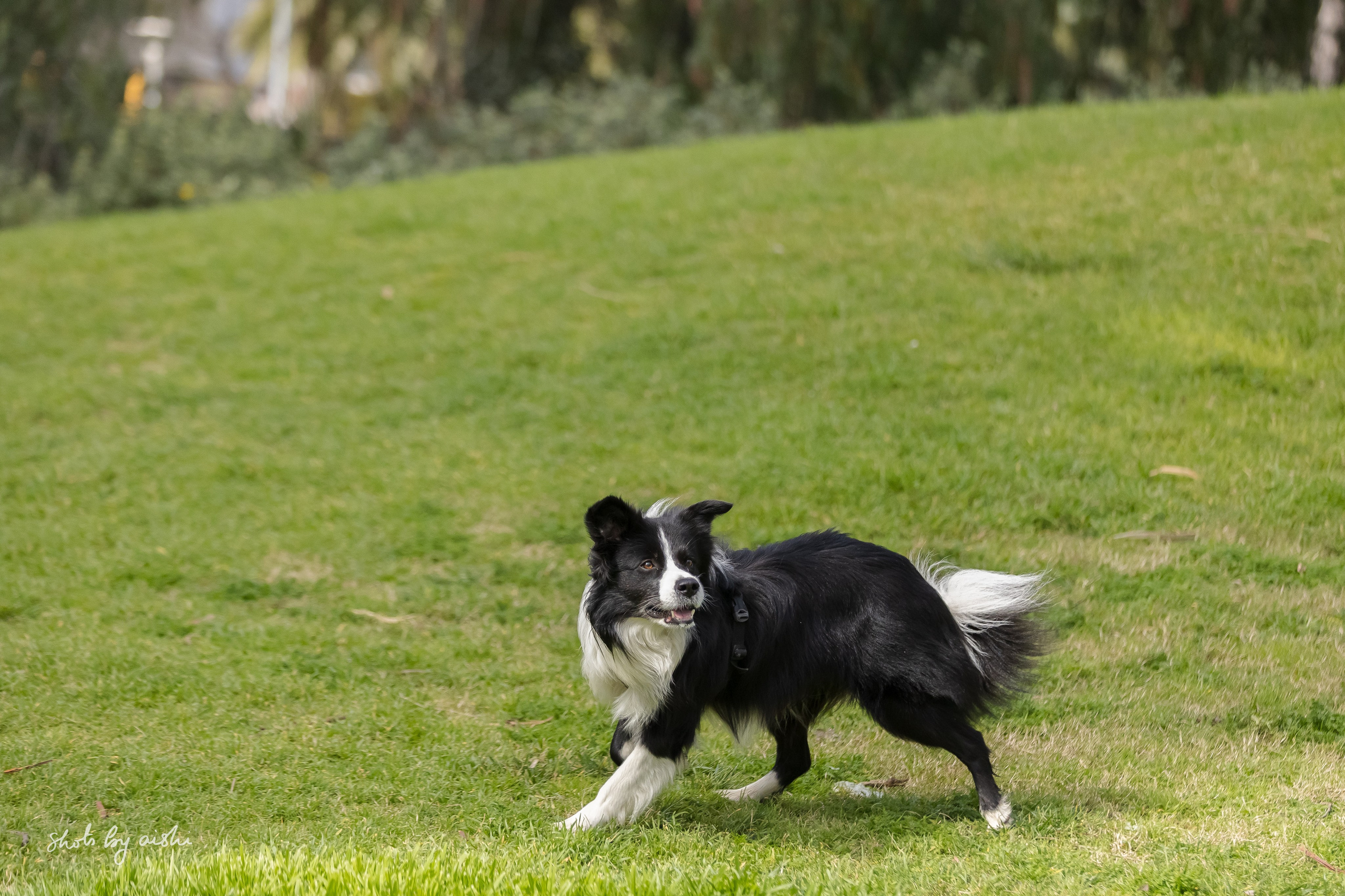 People & pet photographer based in Barcelona
