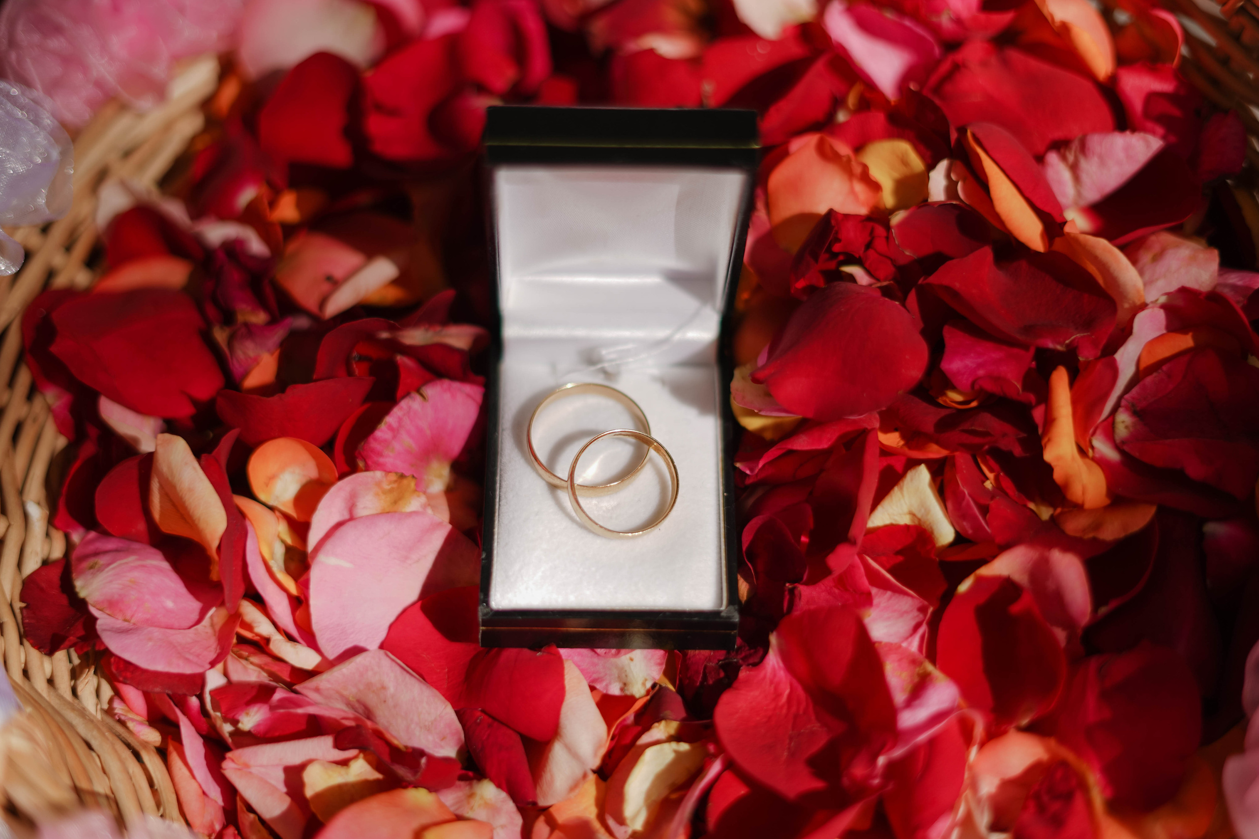 Fotografo familiar, bodas, reportaje Diana Memetova Alicante, Benidorm