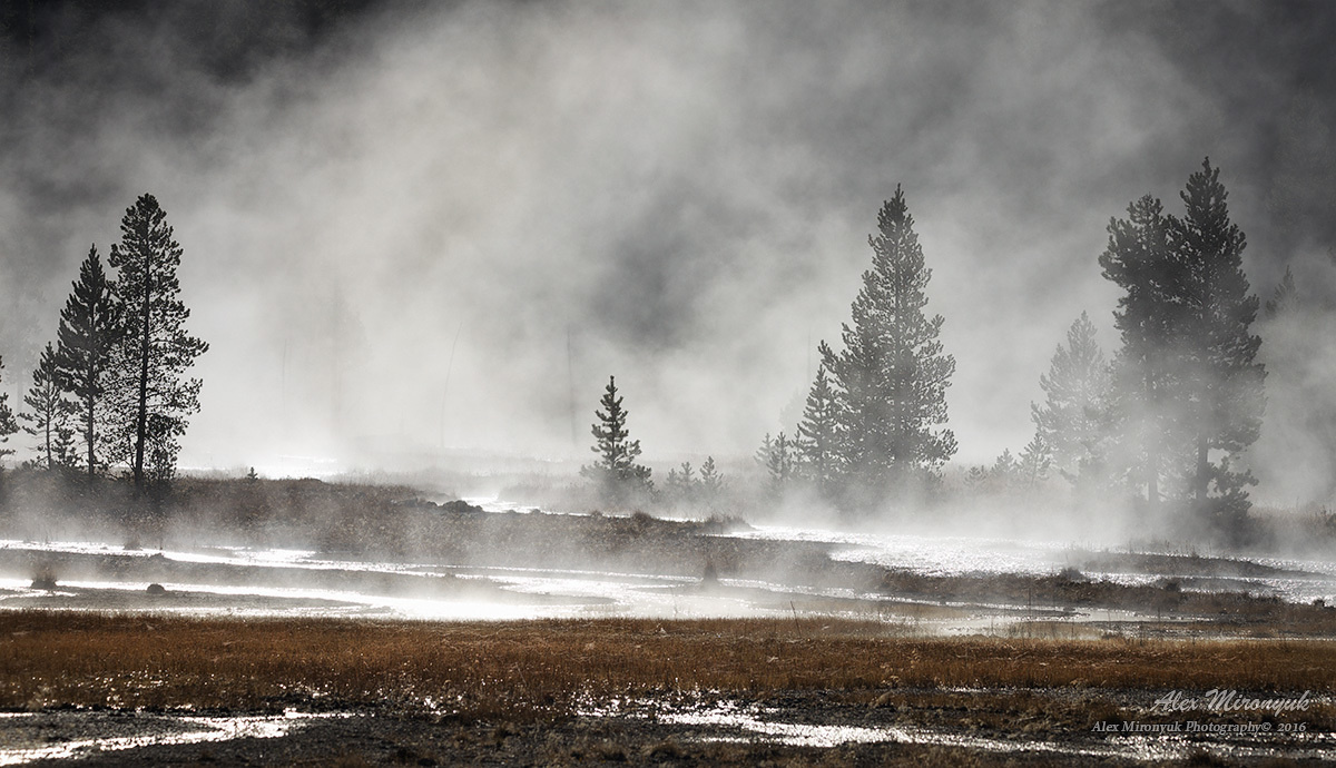 Фото - тур  “Удивительный Северо-Запад США”. Alex Mironyuk Photography