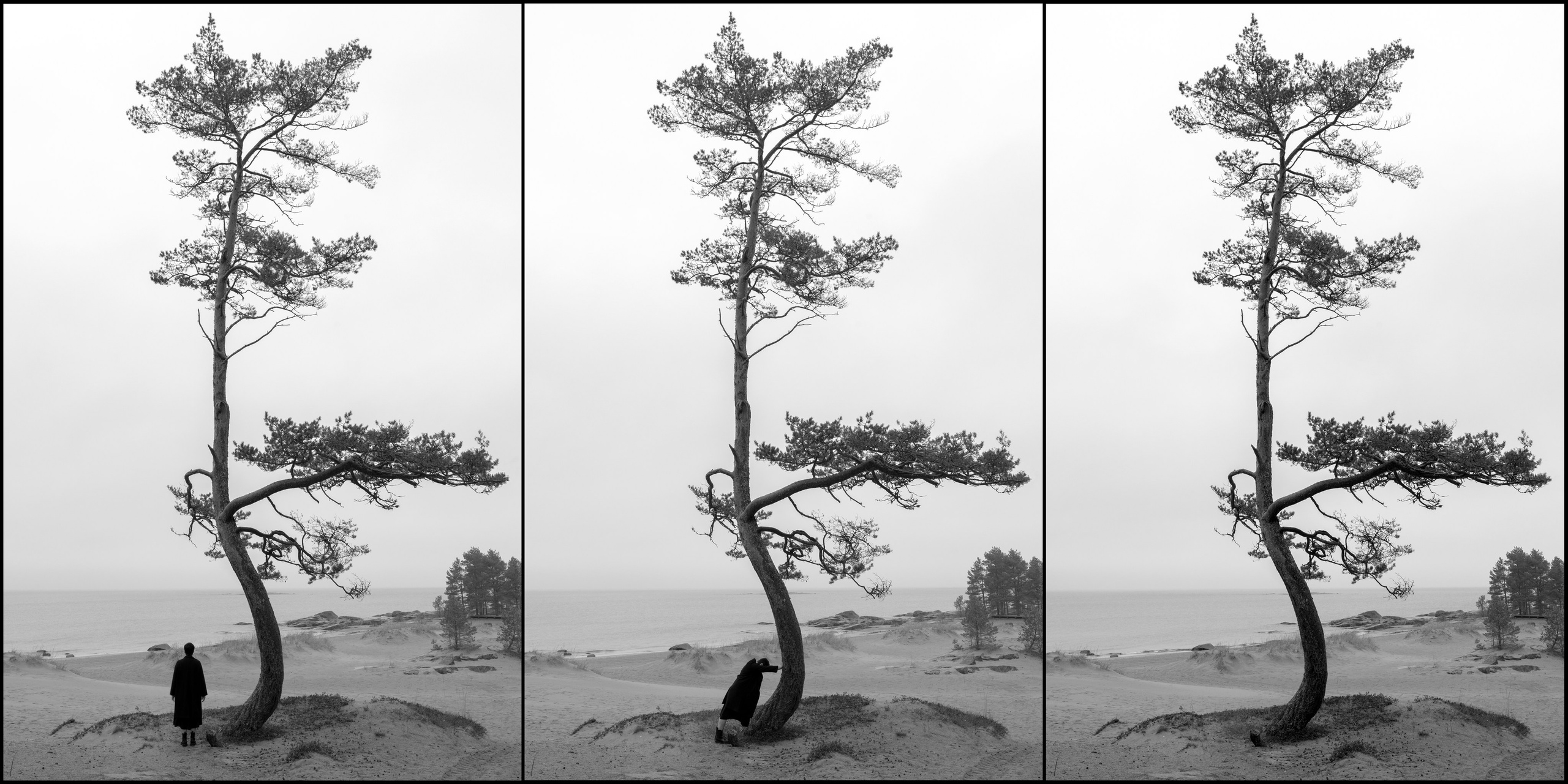 Maija Bondar Photographer