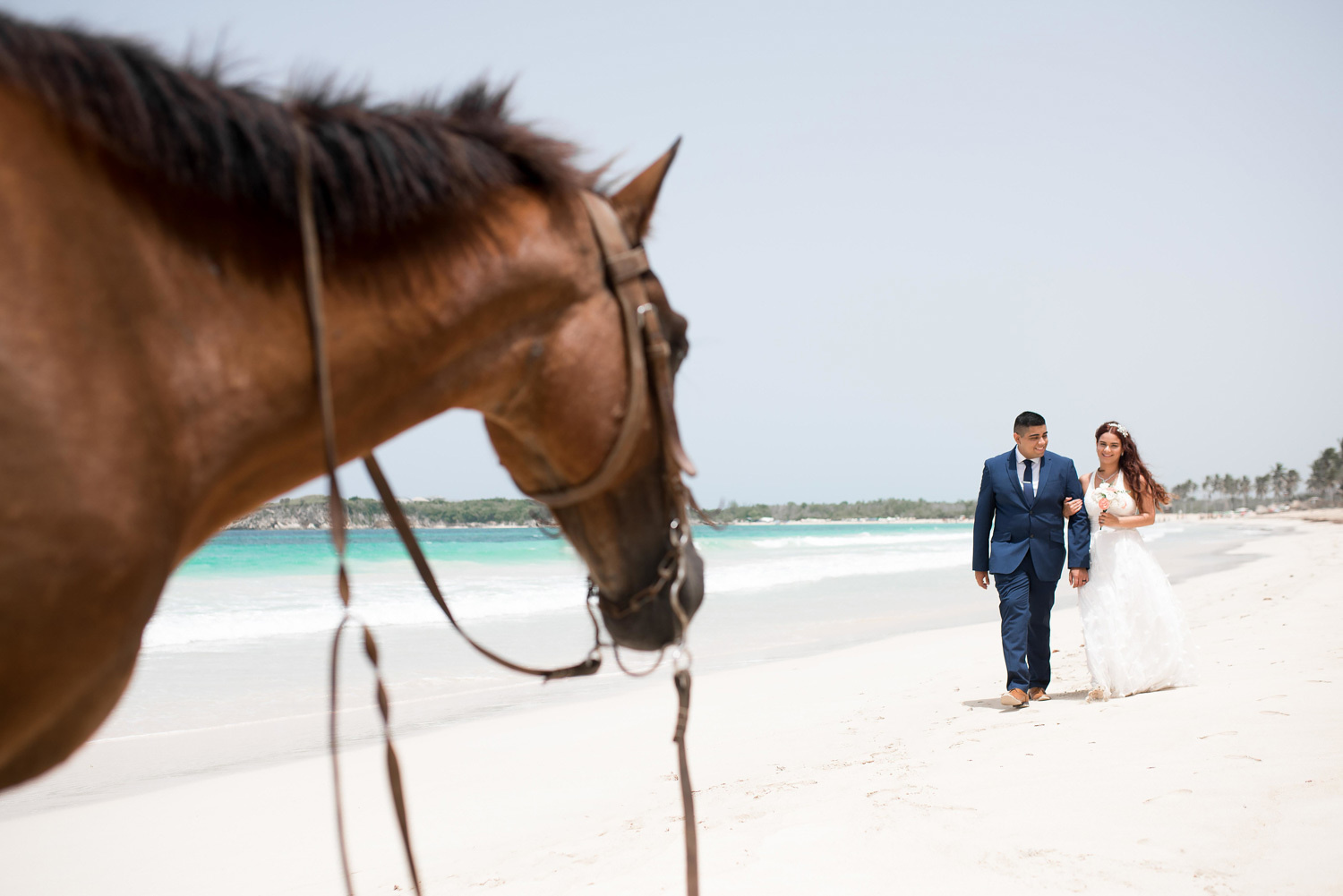 Невеста и жених держится за руки и идут к лошади.