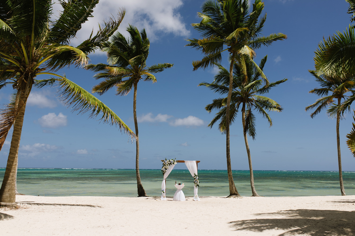 Last elopement before the covid 19 came