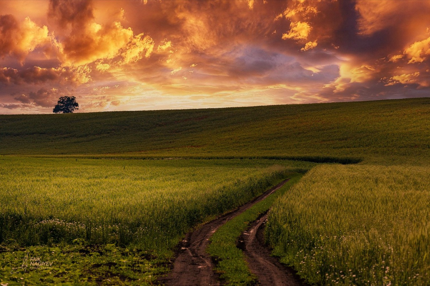 Faik Nagiyev Photography