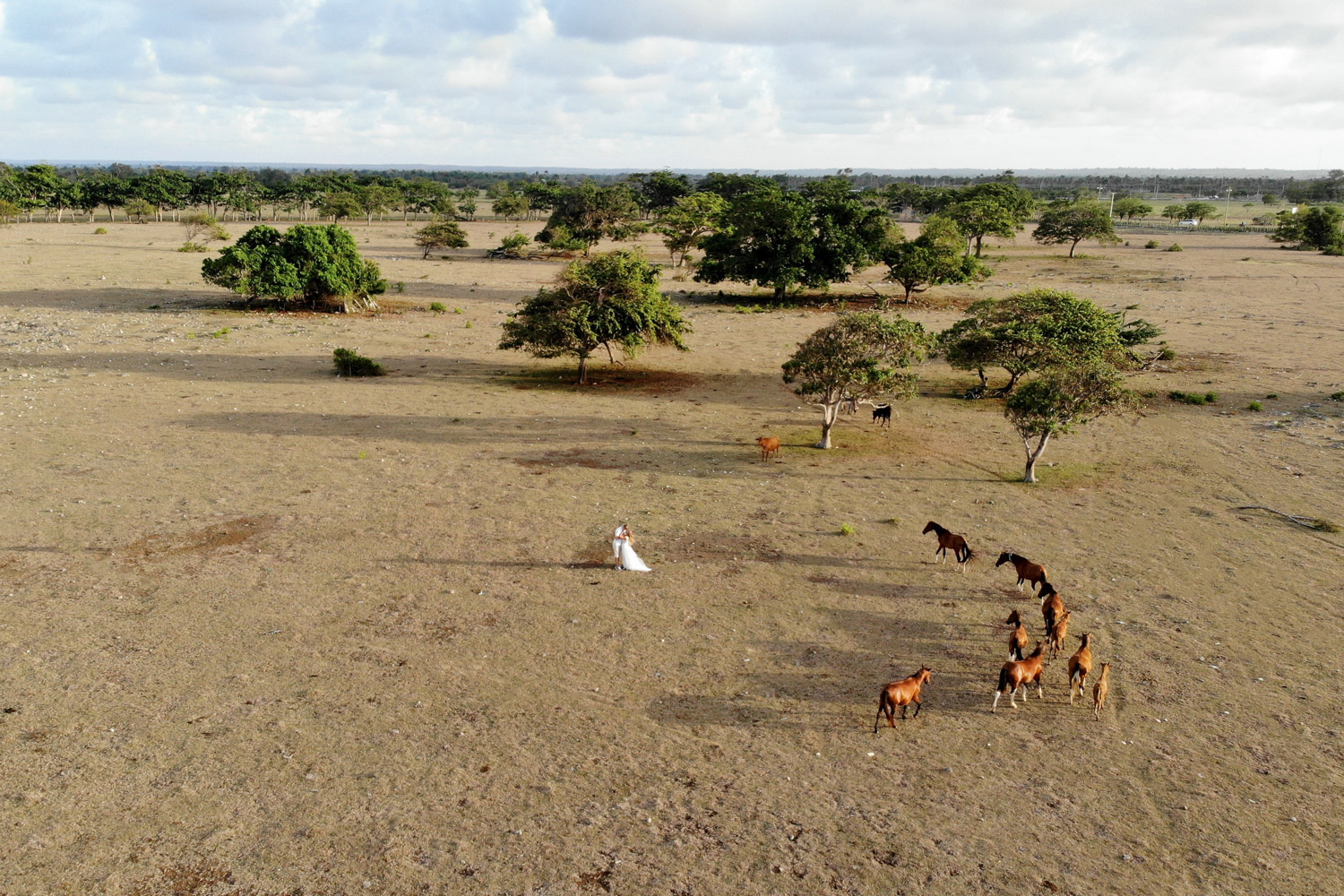 A quadcopter photo of the bride and groom in the field.