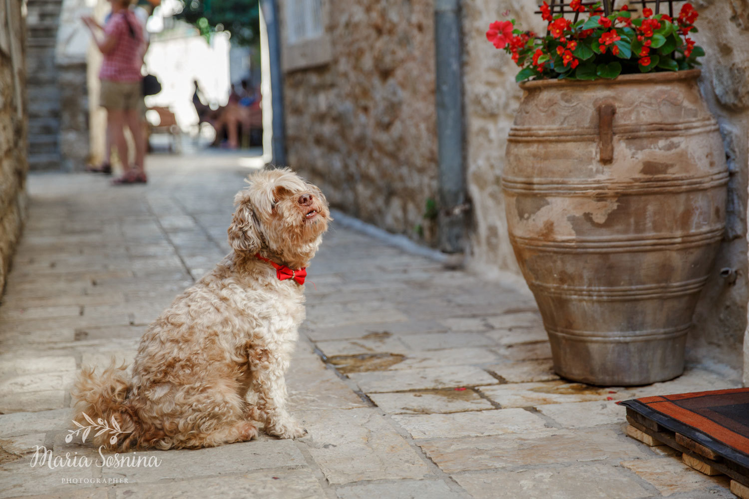 Budva Old town in Montenegro