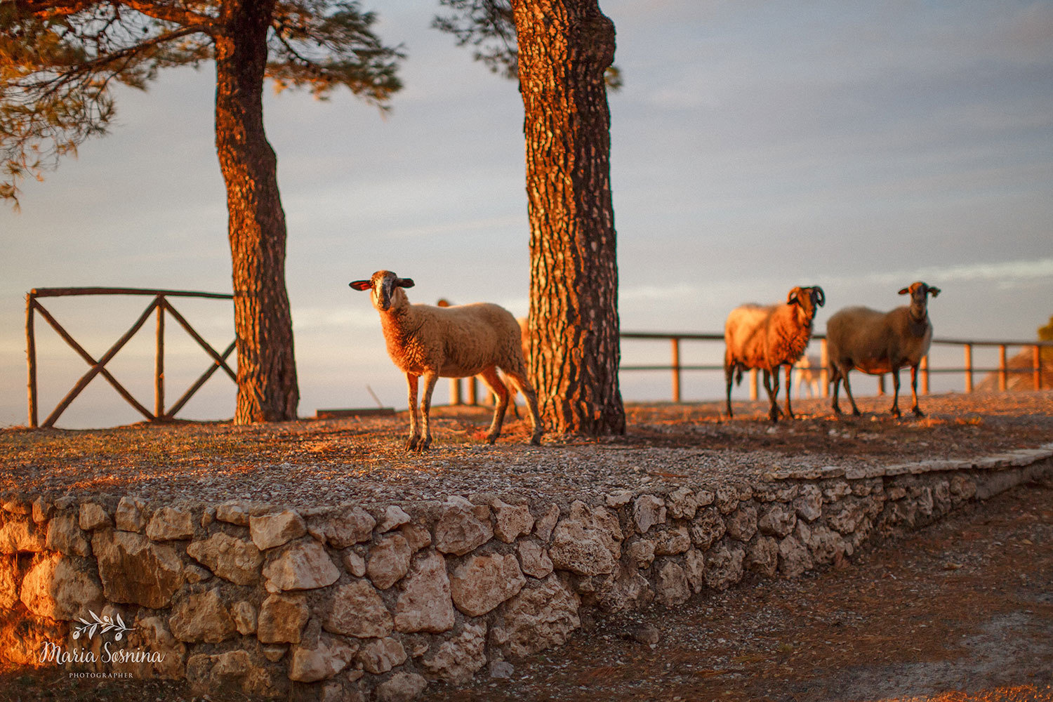 Uvirkelig solnedgang på øya Lefkada i Hellas