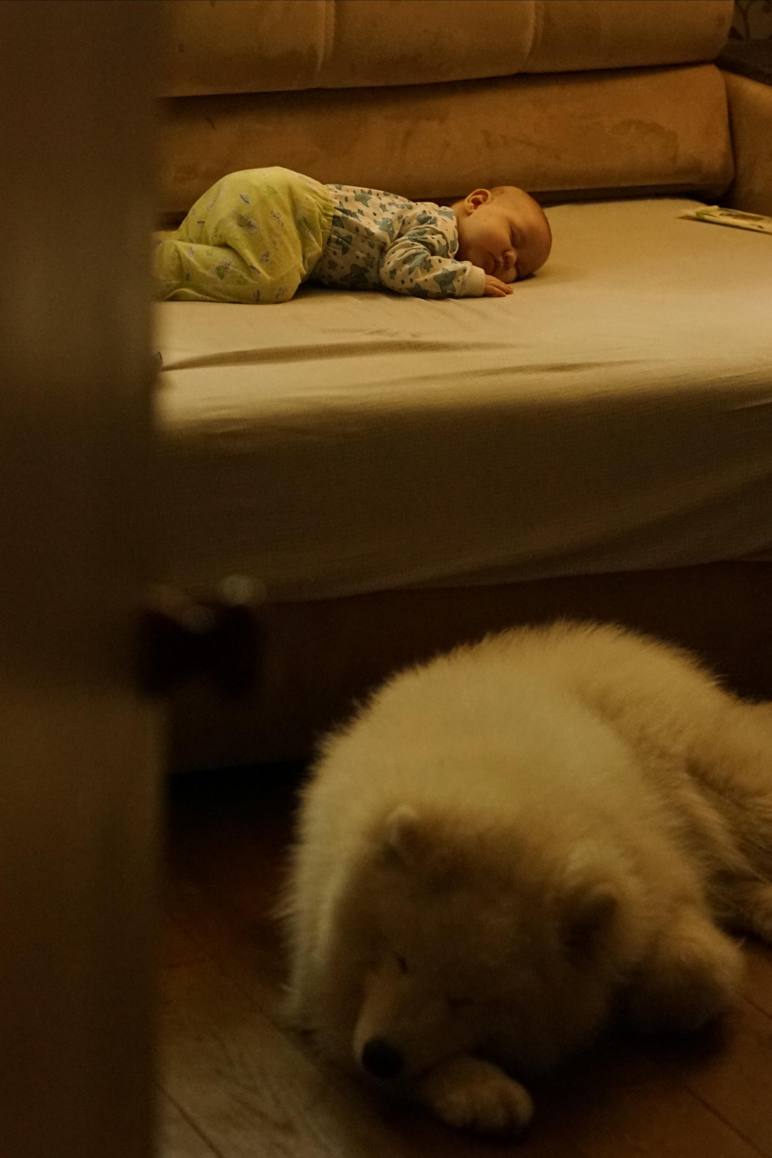 Услуги. Фотограф Москвы Китанина Елена