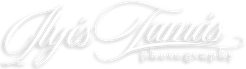 ilyestamas51.wfolio.pro