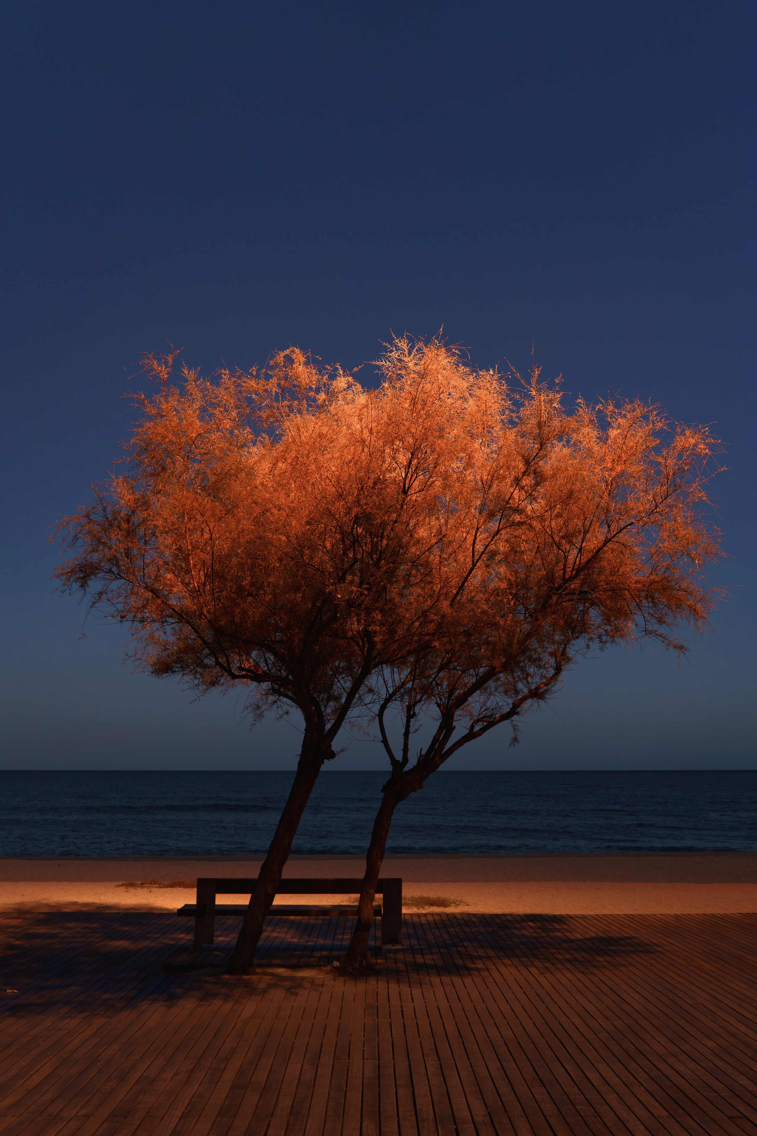 Posters. Creador de contenido visual en Barcelona | Dima Kit