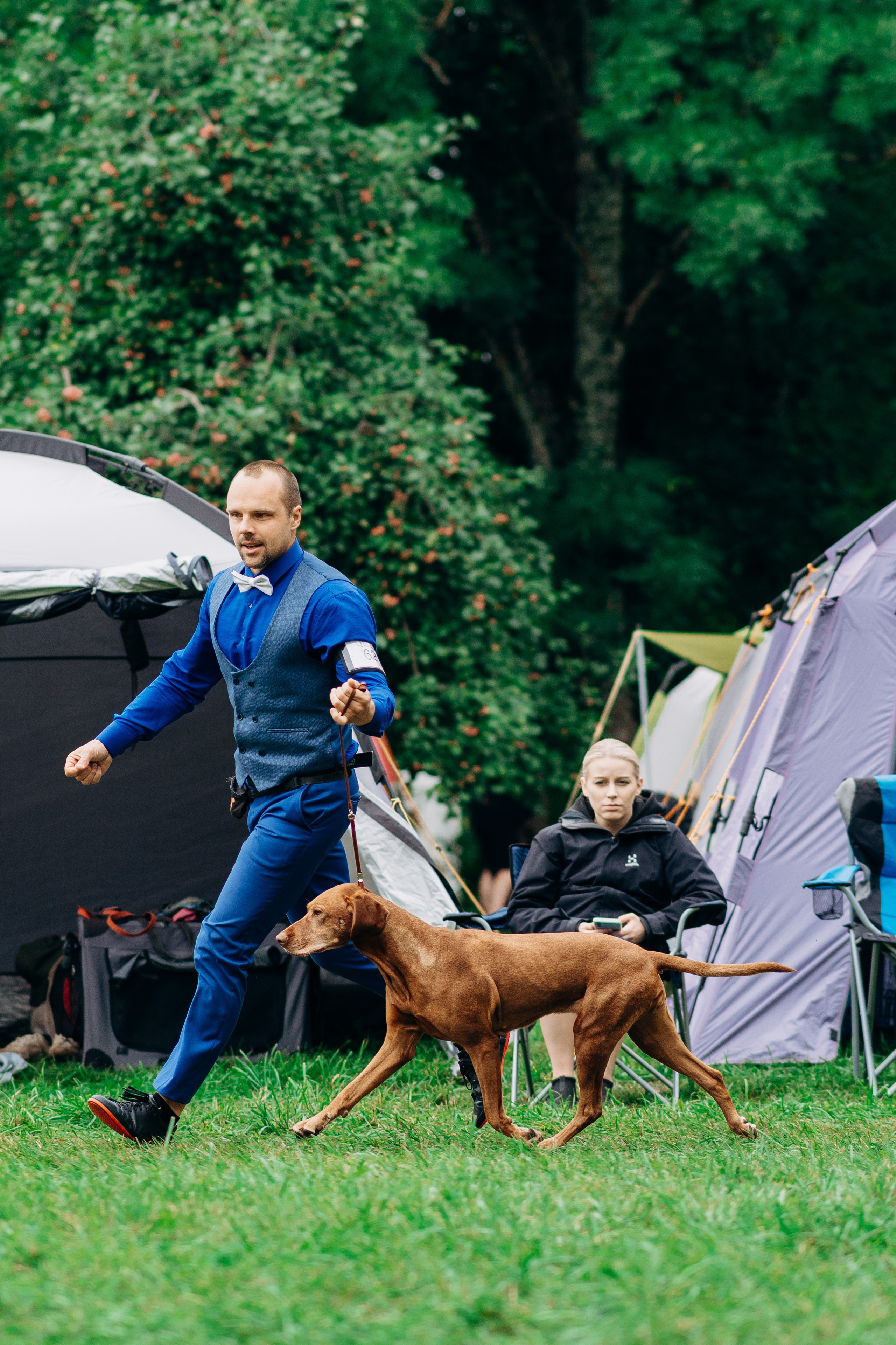 Dog show photography. Kat Laisaar — Pet photographer in Tallinn