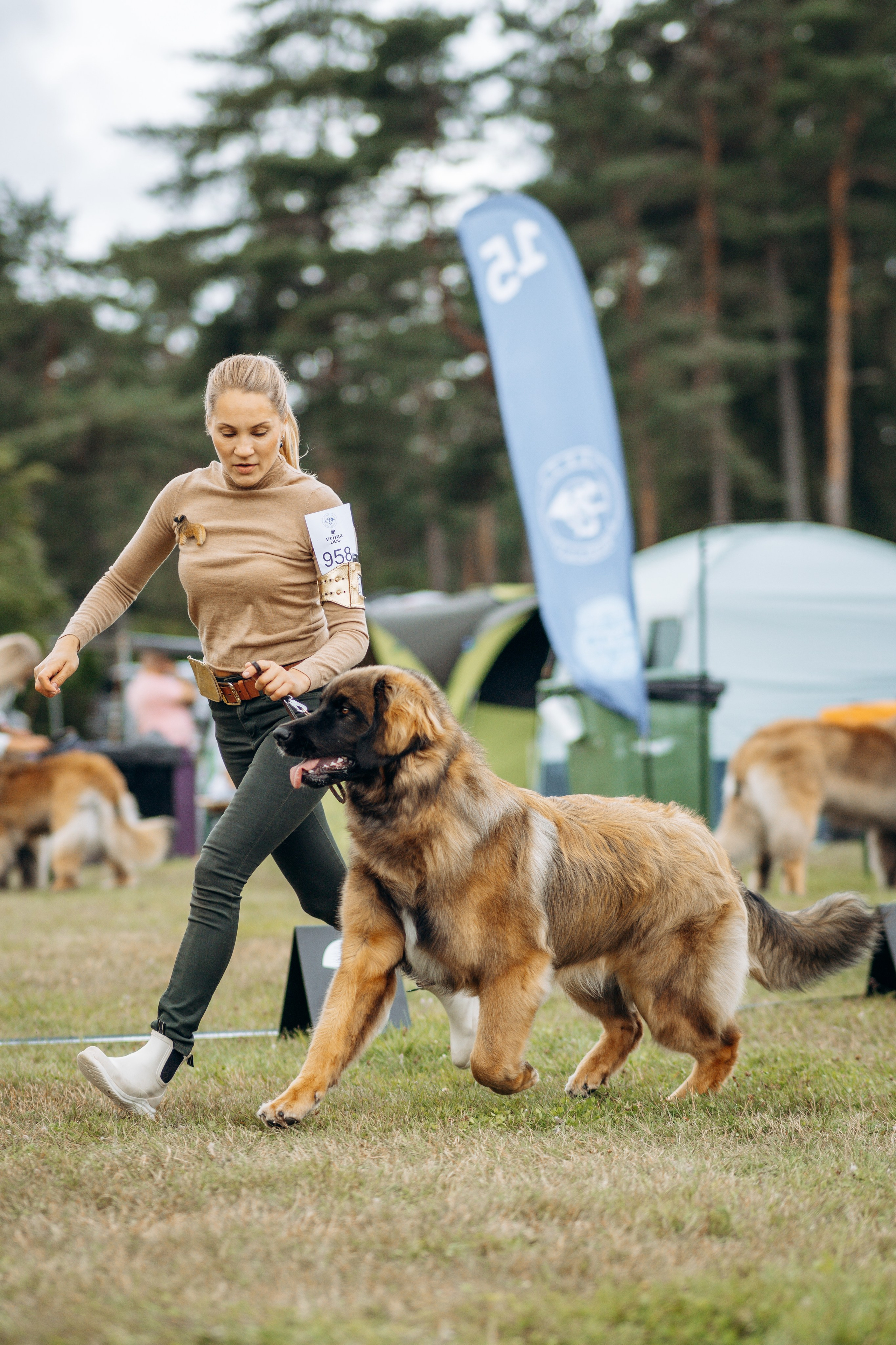 Dog show photography. Kat Laisaar — Pet photographer in Tallinn