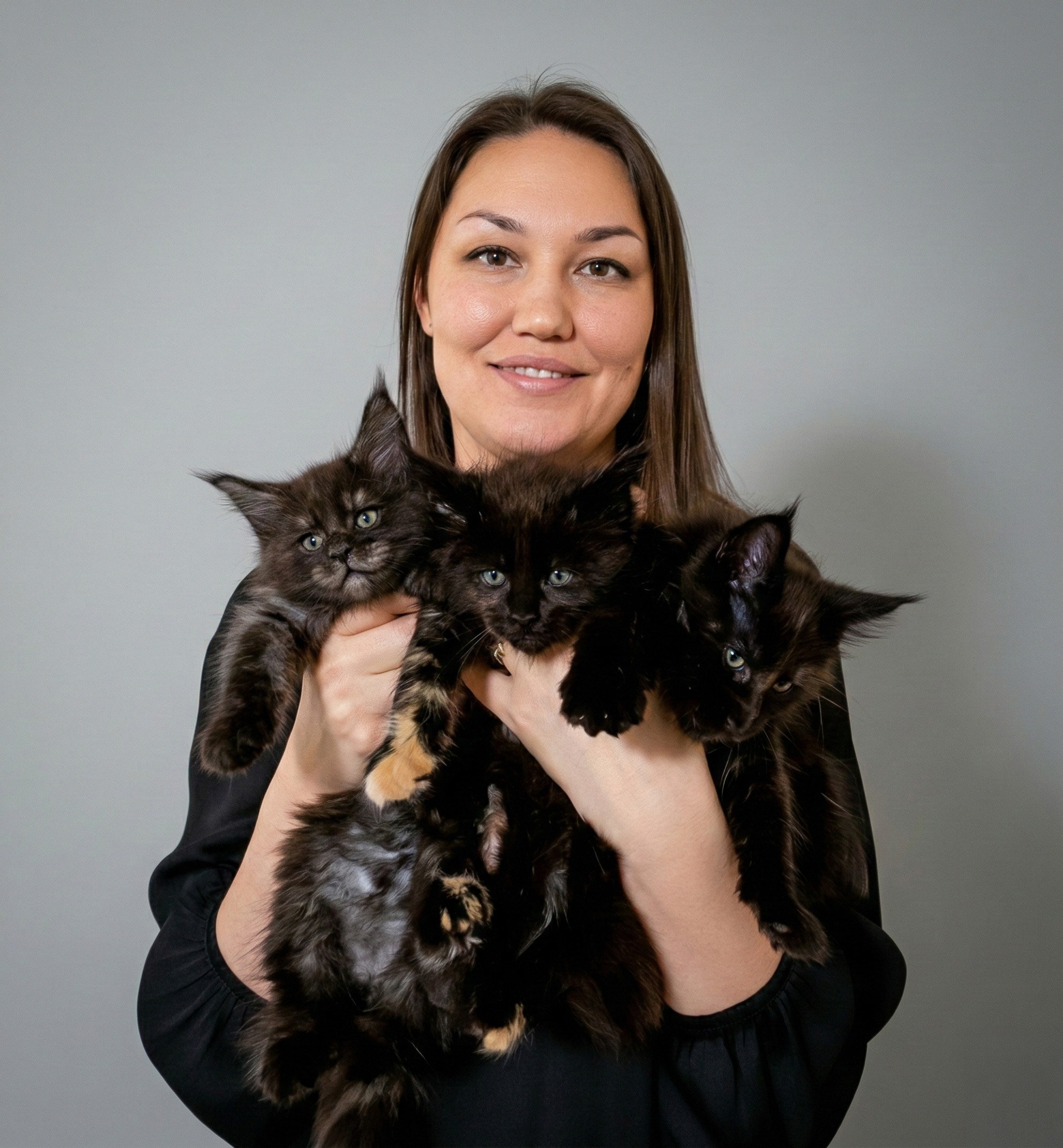 Senator Ursula. Senator Cat — Maine Coon cattery