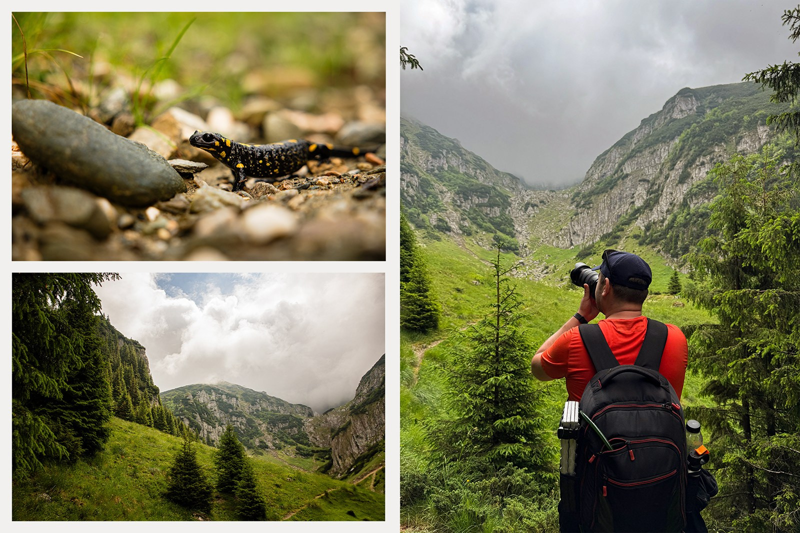 Despre Davi Babanu | Fotograf Nuntă Iași Neamț Vaslui Bacău