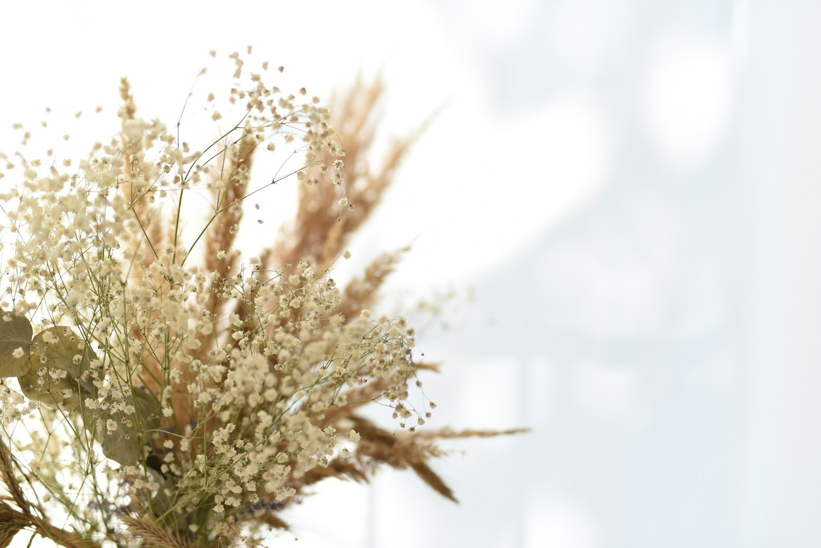 Albums, Prints & Keepsakes | YDF Photography