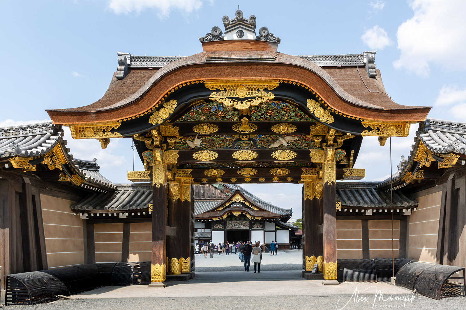 Momiji-gari Season In Japan. Pet, Senior, Landscape, portrait studio, photographer in Miami and Sou
