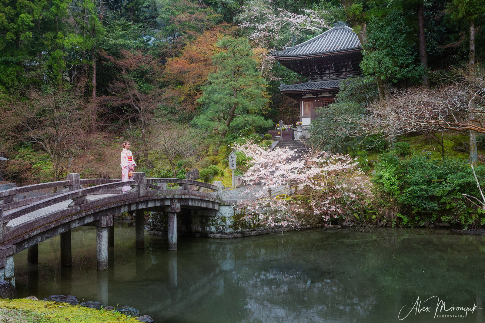 Momiji-gari Season In Japan. Pet, Senior, Landscape, portrait studio, photographer in Miami and Sou