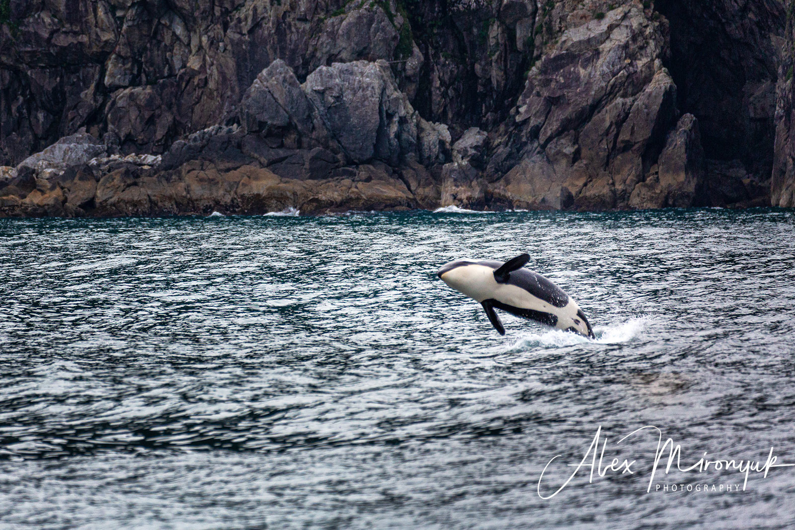 Alaska-2019. Alex Mironyuk Photography