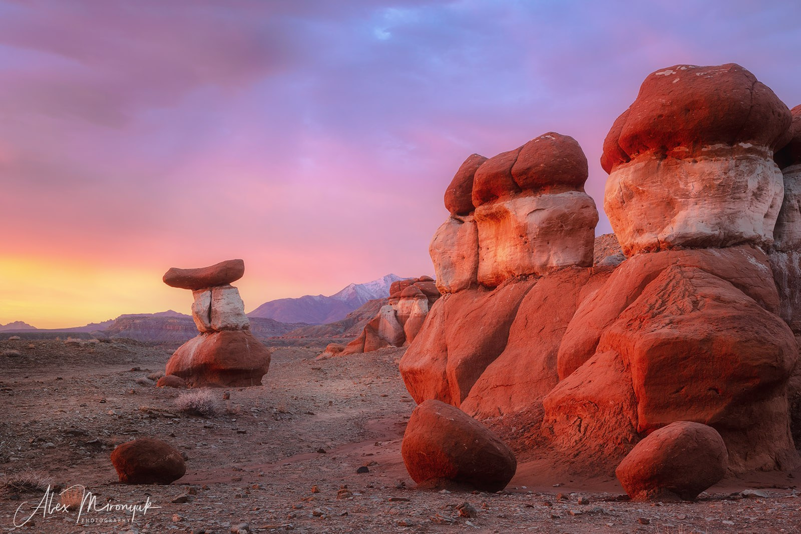 Eagle’s View: The American Southwest. Pet, Senior, Landscape, portrait studio, photographer in Miami and Sou