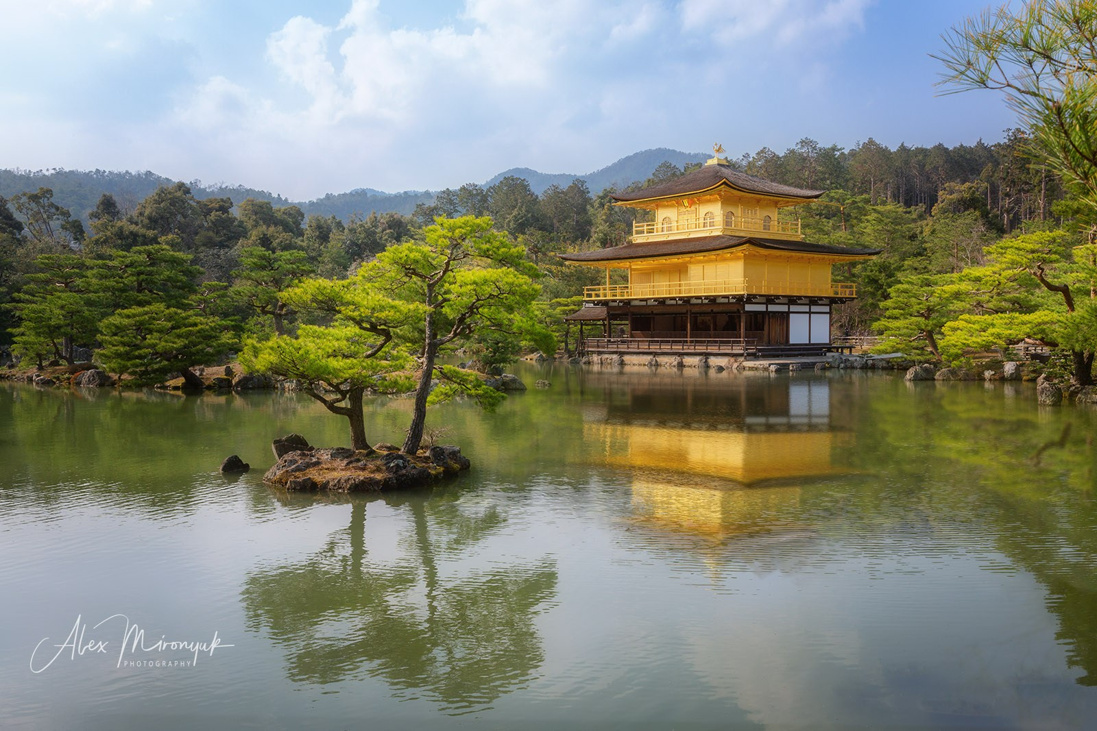 Hanami Season in Japan. Pet, Senior, Landscape, portrait studio, photographer in Miami and Sou